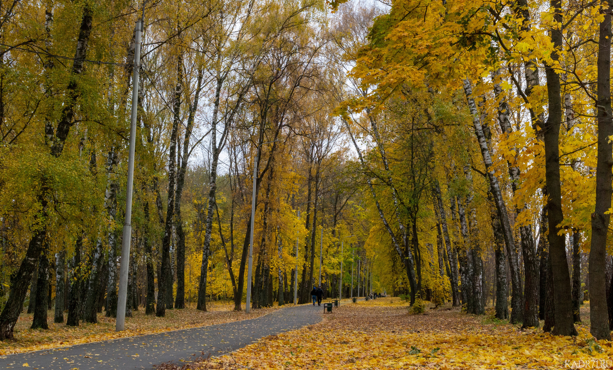 Центральный парк культуры и отдыха им. П. П. Белоусова. Фотограф в Туле Крупский АнДРей. Фотостудия «КАДР71» в Туле