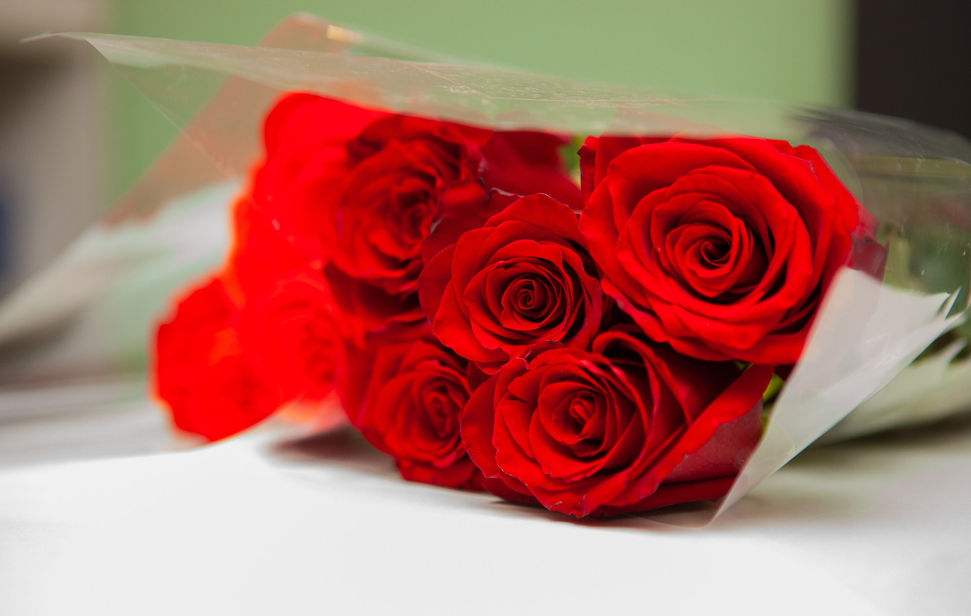 Ольга. Фотограф Анастасия Лёвушкина