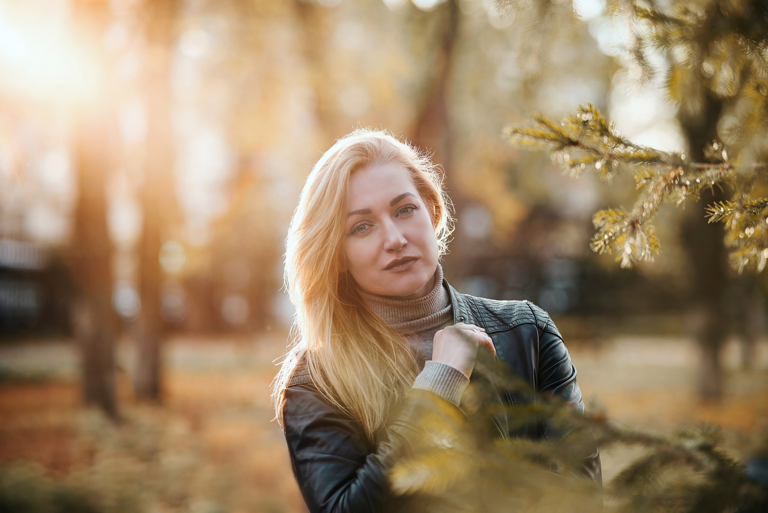 Осень цвета горчицы. Фотограф Денис Кривопусков