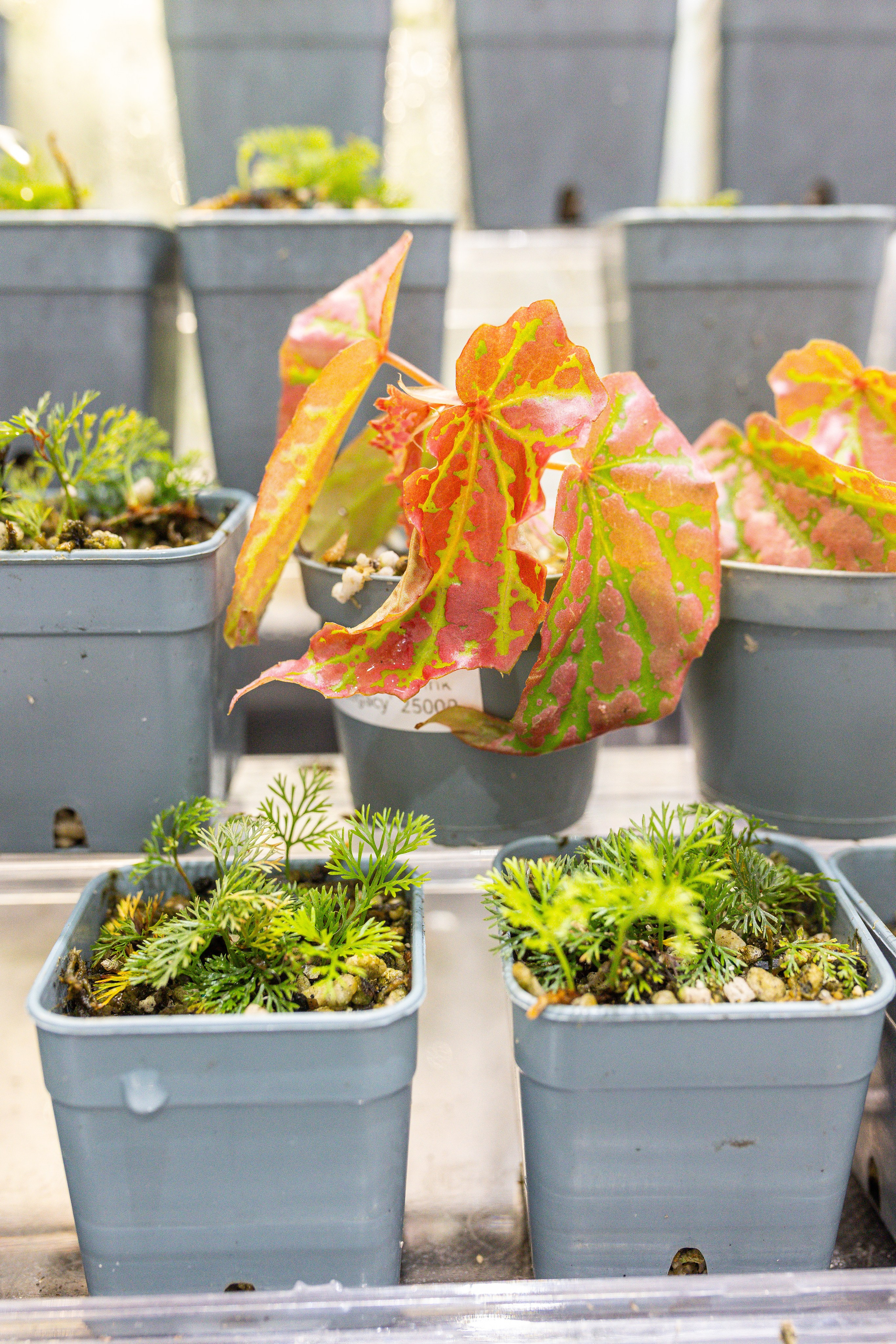 Монстериум 11–12 октября. Александра Куликова фотограф, Москва