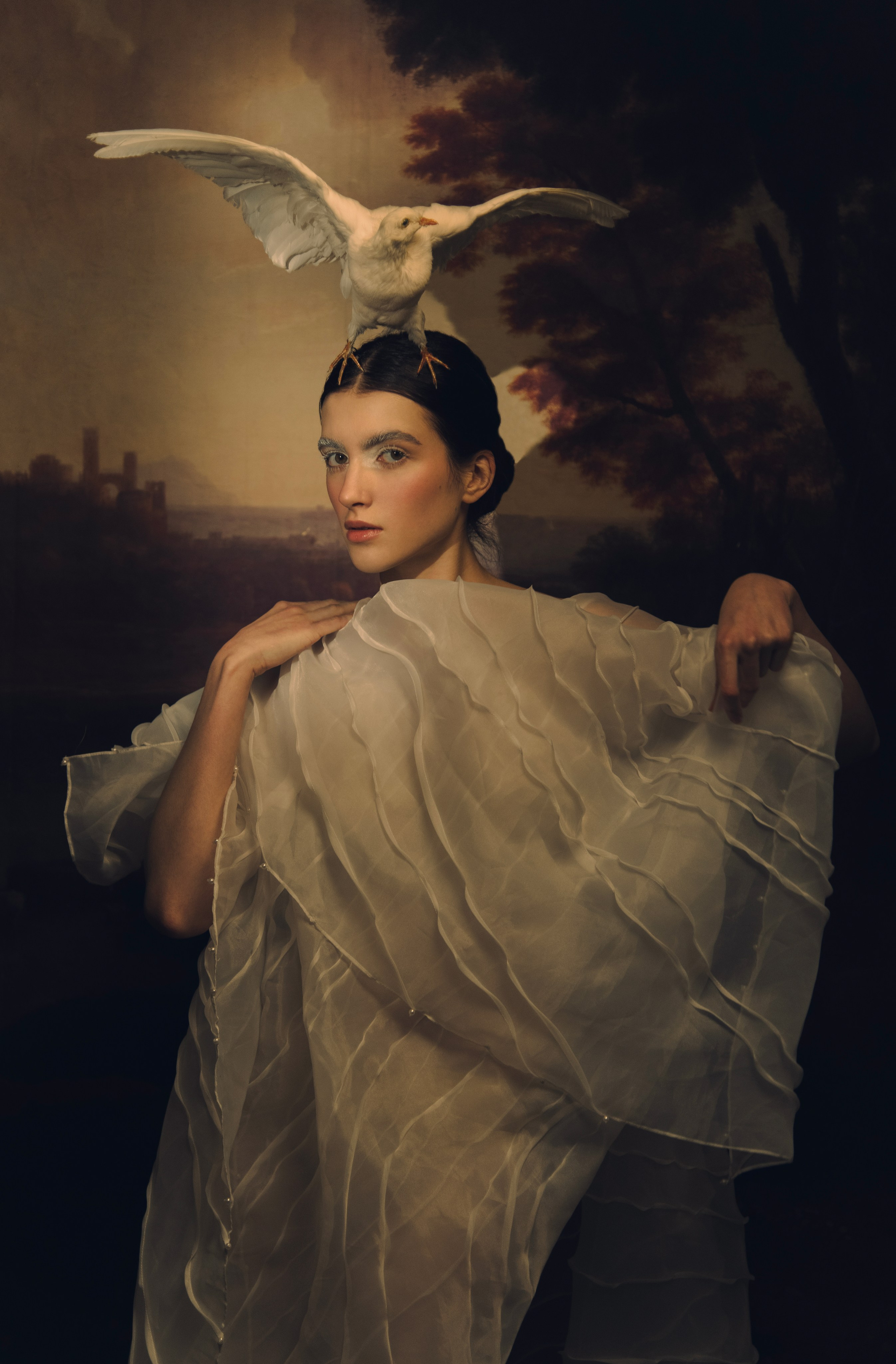 Птица. Фотограф Anita Mivchas