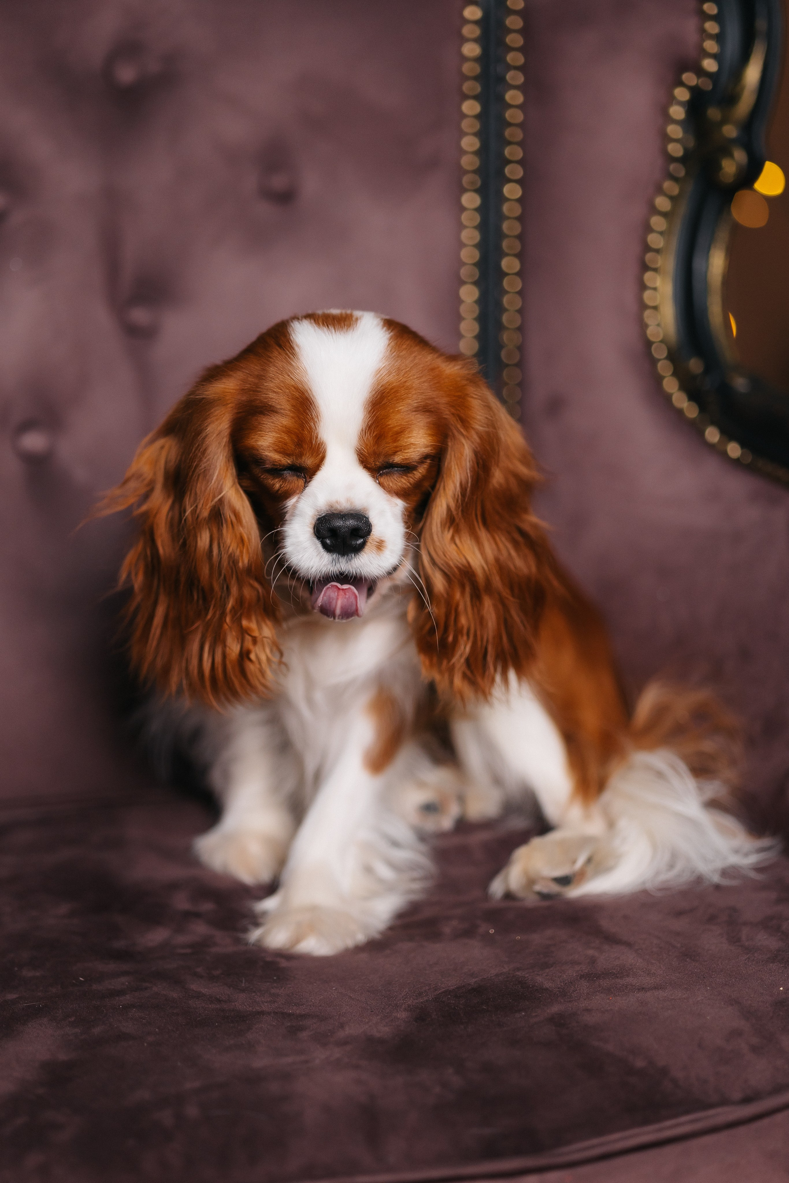 Макс с Оскаром. СЕМЕЙНЫЙ ФОТОГРАФ В САРАТОВЕ