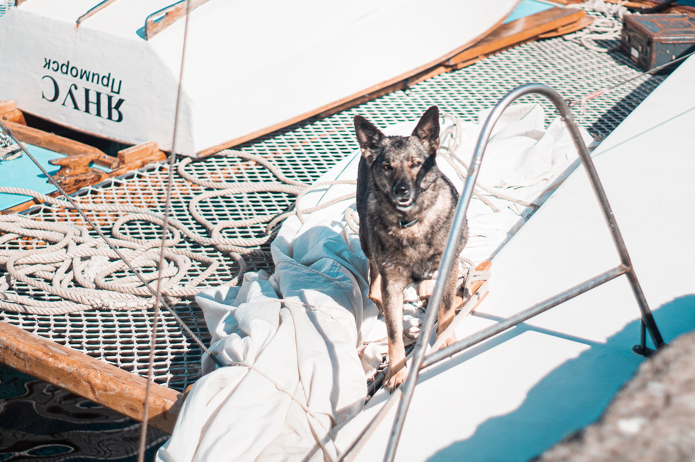 Ораниенбаумский морской фестиваль. Фотограф в Санкт-Петербурге и ЛО Егор Ставер