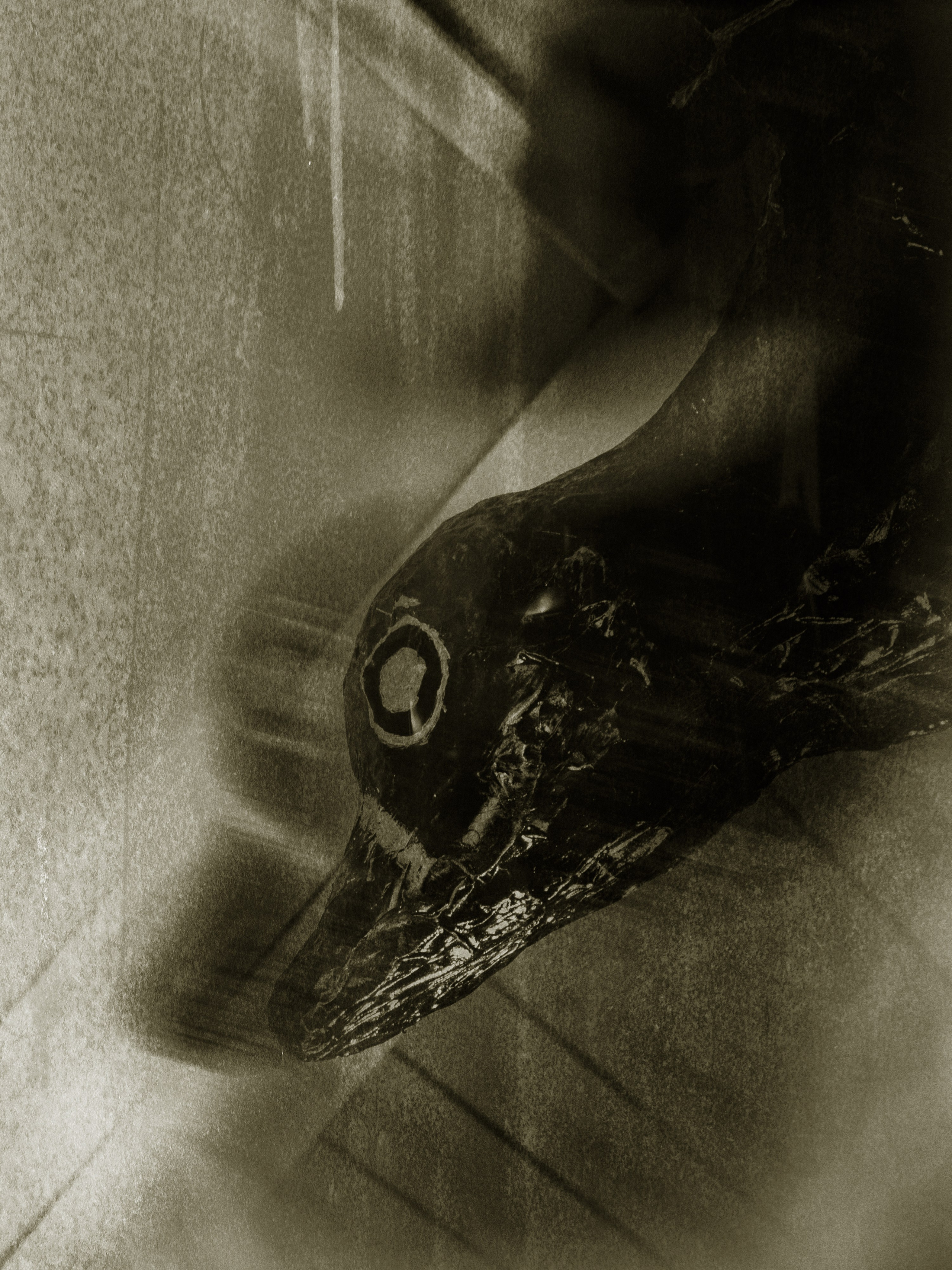 Артхаусная съемка. Касаткин Никита. Фотограф