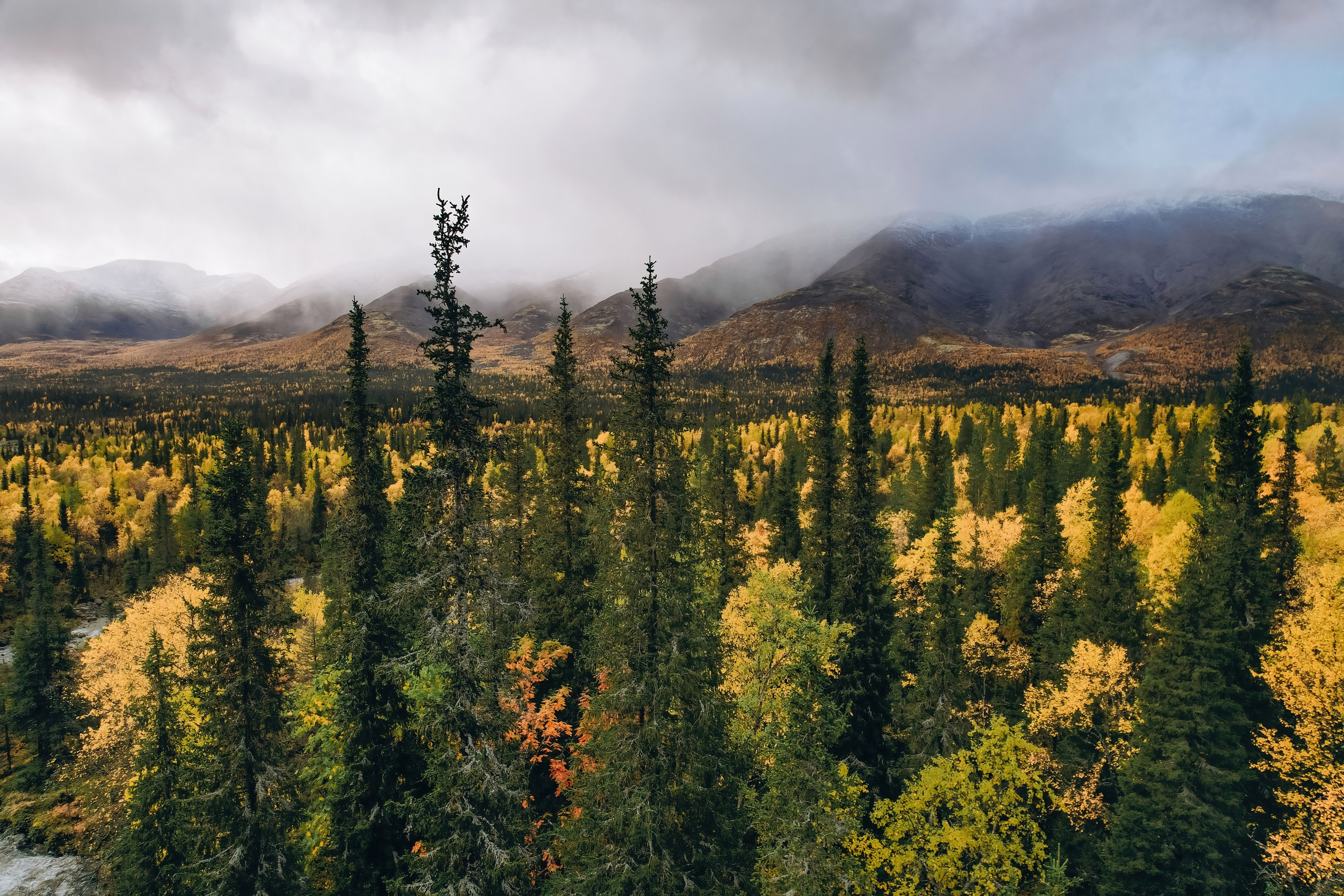СЕВЕР. Event фотограф Степанова Александра