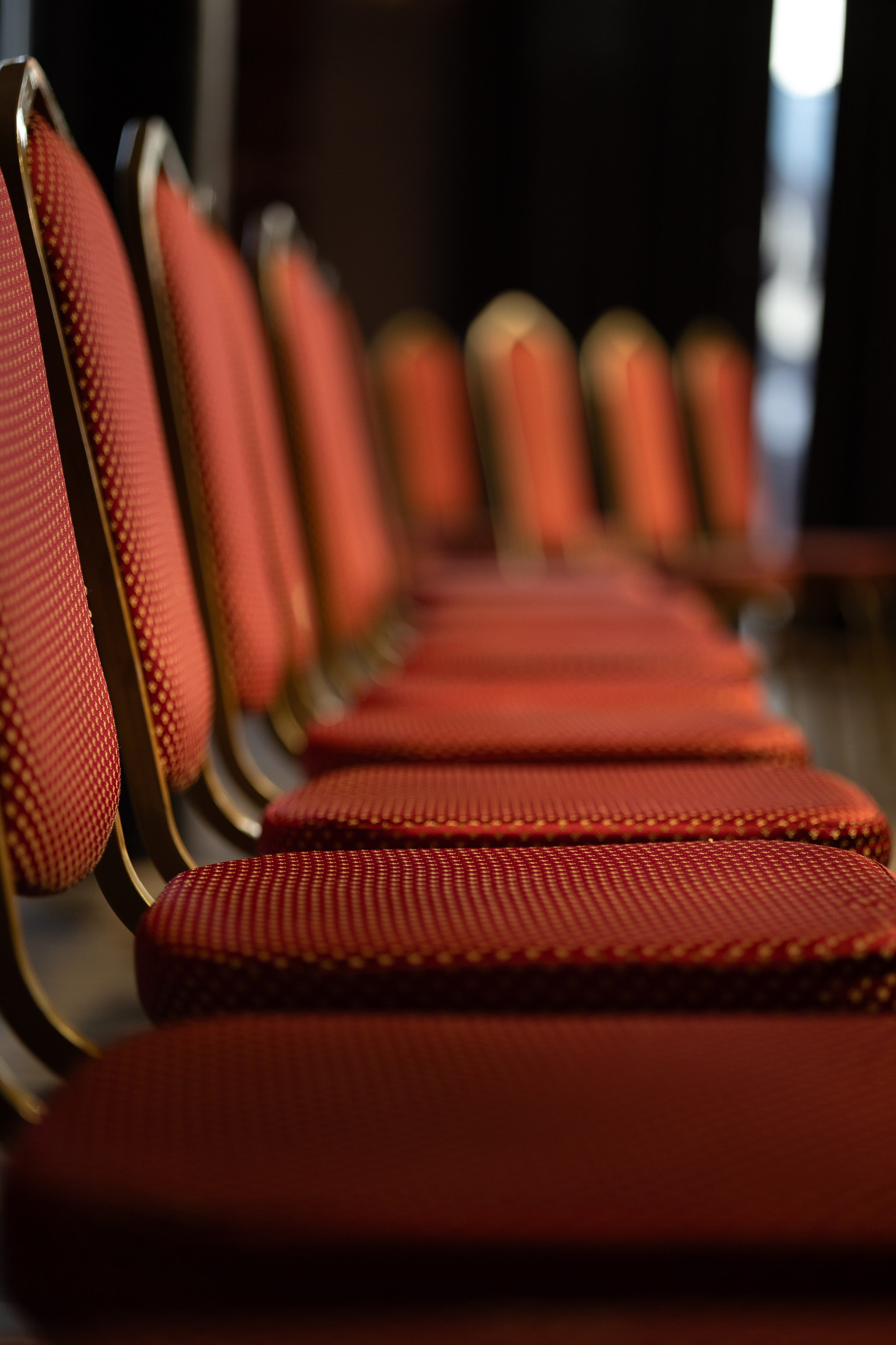 CBcon. Фотограф анималист в Москве Майорова Евгения