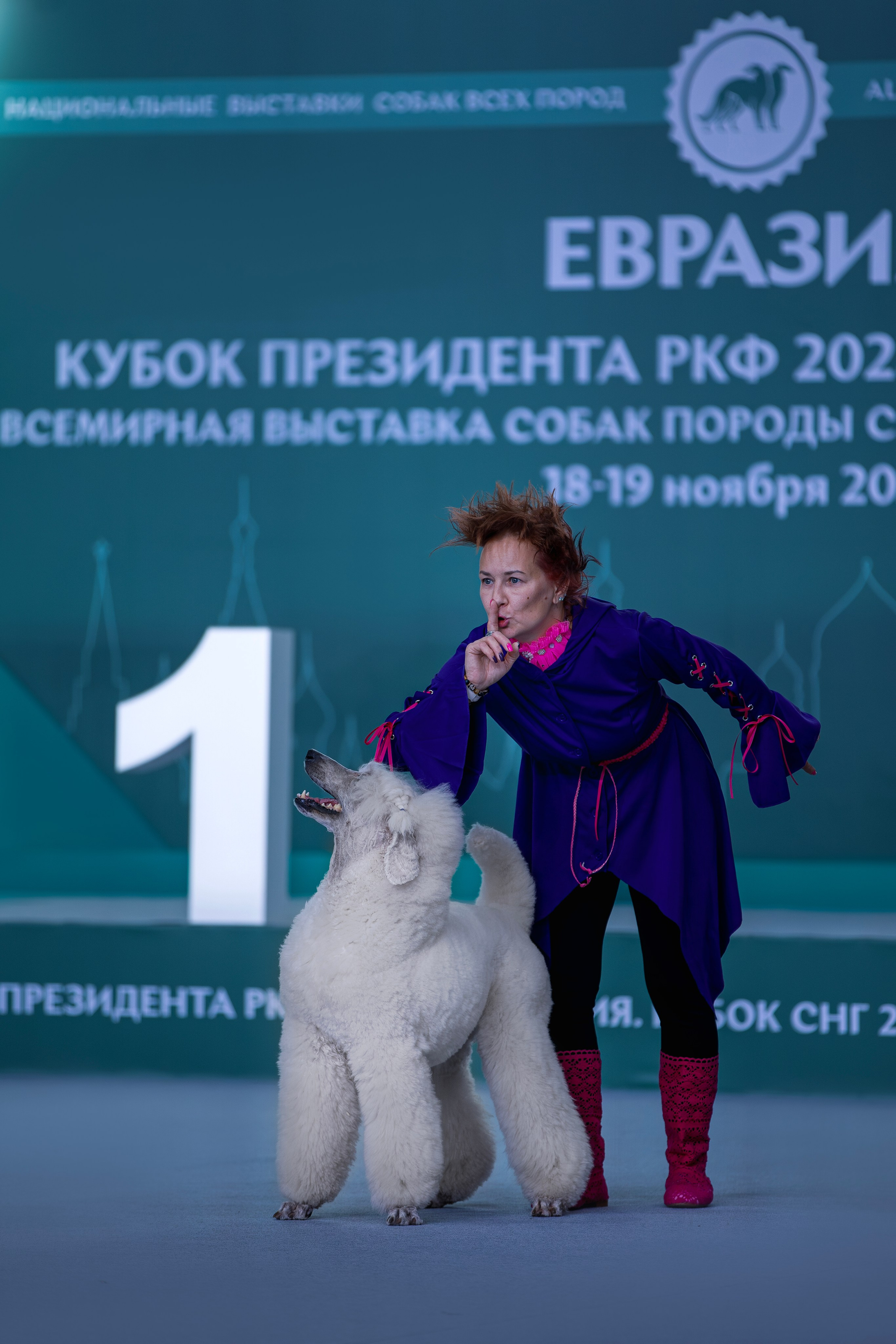 Выставки. Фотограф анималист в Москве Майорова Евгения