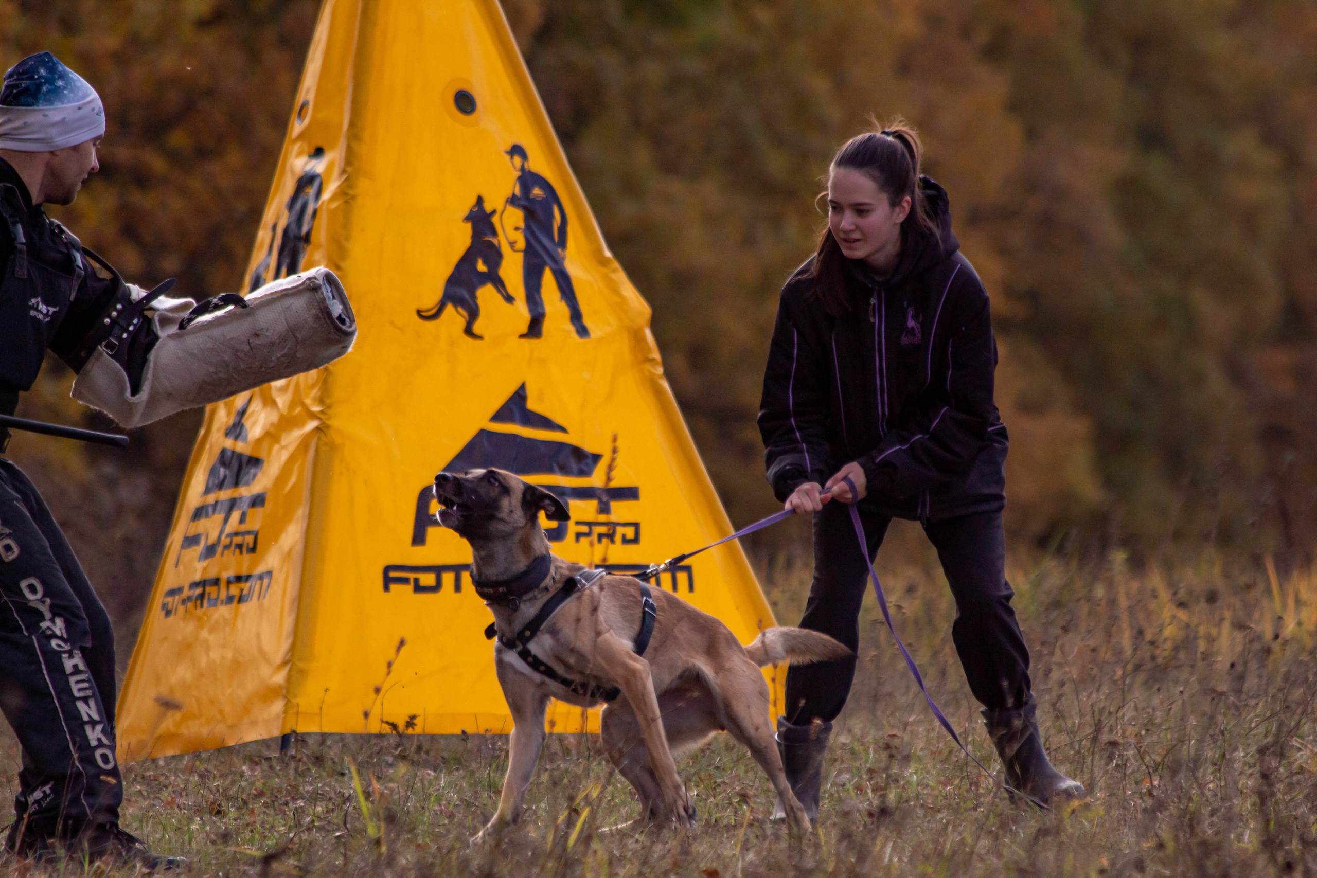 Тренинг защитного раздела. Фотограф анималист — Тула, Москва