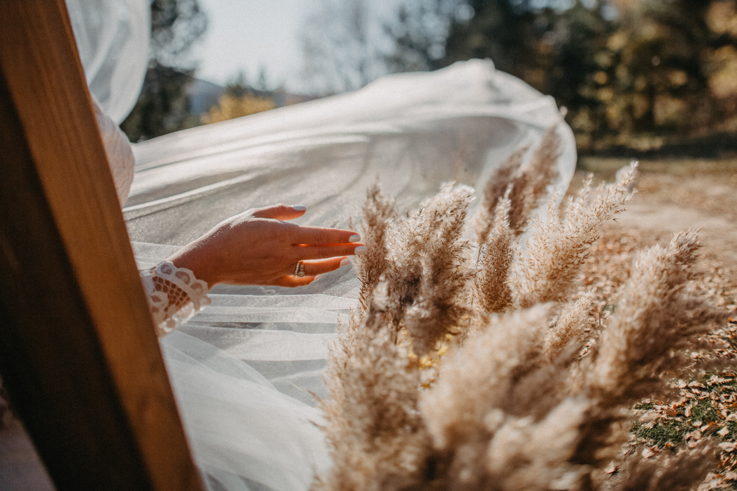 Осенняя свадьба в Красноярске. Свадебный фотограф-видеограф в Красноярске Евгений Константинопольский