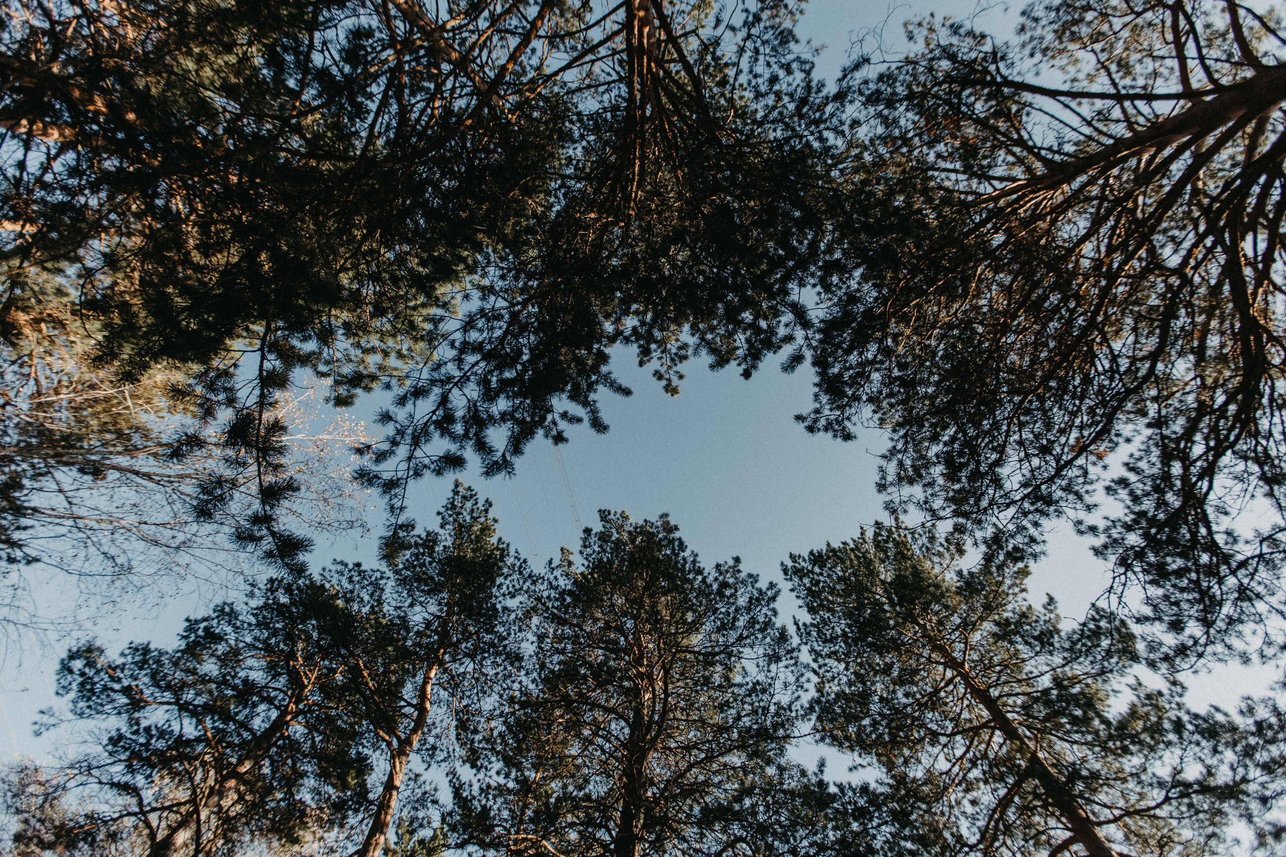 Осенняя свадьба в Красноярске. Свадебный фотограф-видеограф в Красноярске Евгений Константинопольский