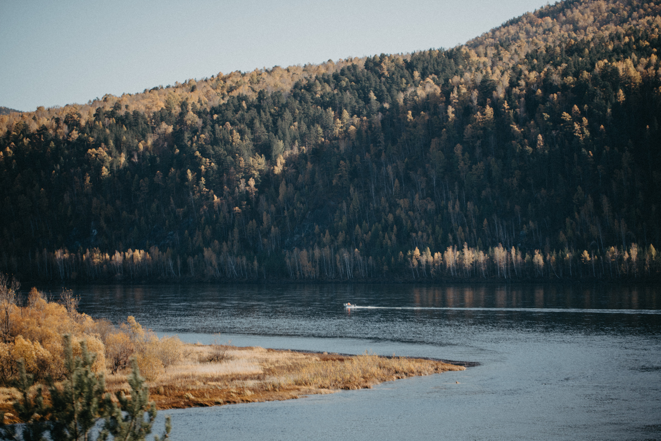 Осенняя свадьба в Красноярске. Свадебный фотограф-видеограф в Красноярске Евгений Константинопольский