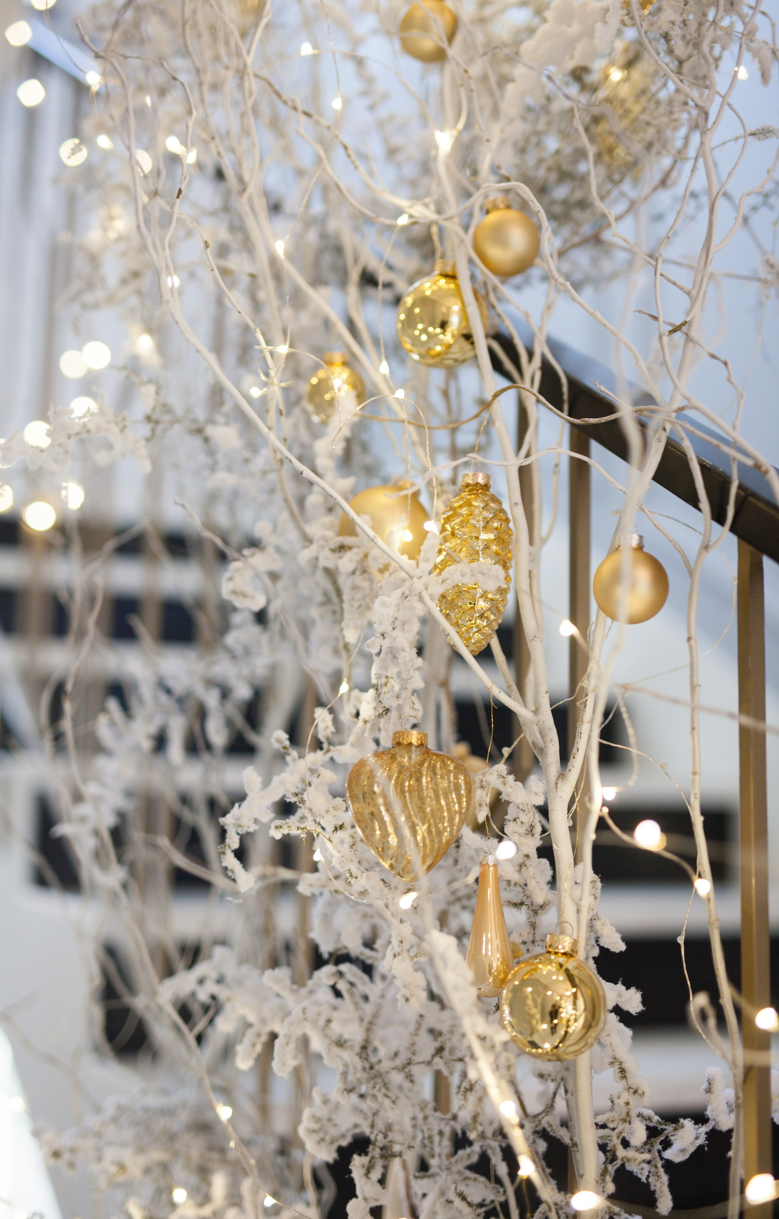 Посольство красоты 2023. Ксения Почтарь. Декоратор и флорист, город Владивосток