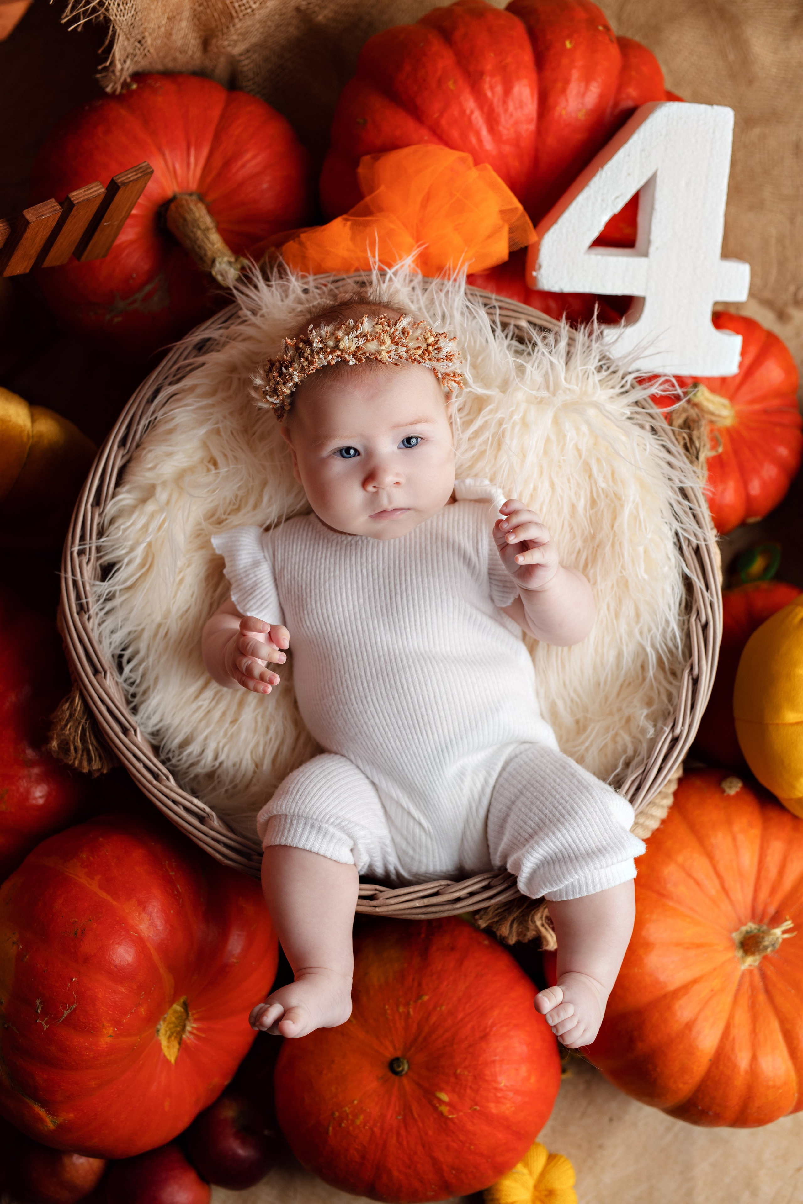 Тыквы. Фотограф Болотова Иветта