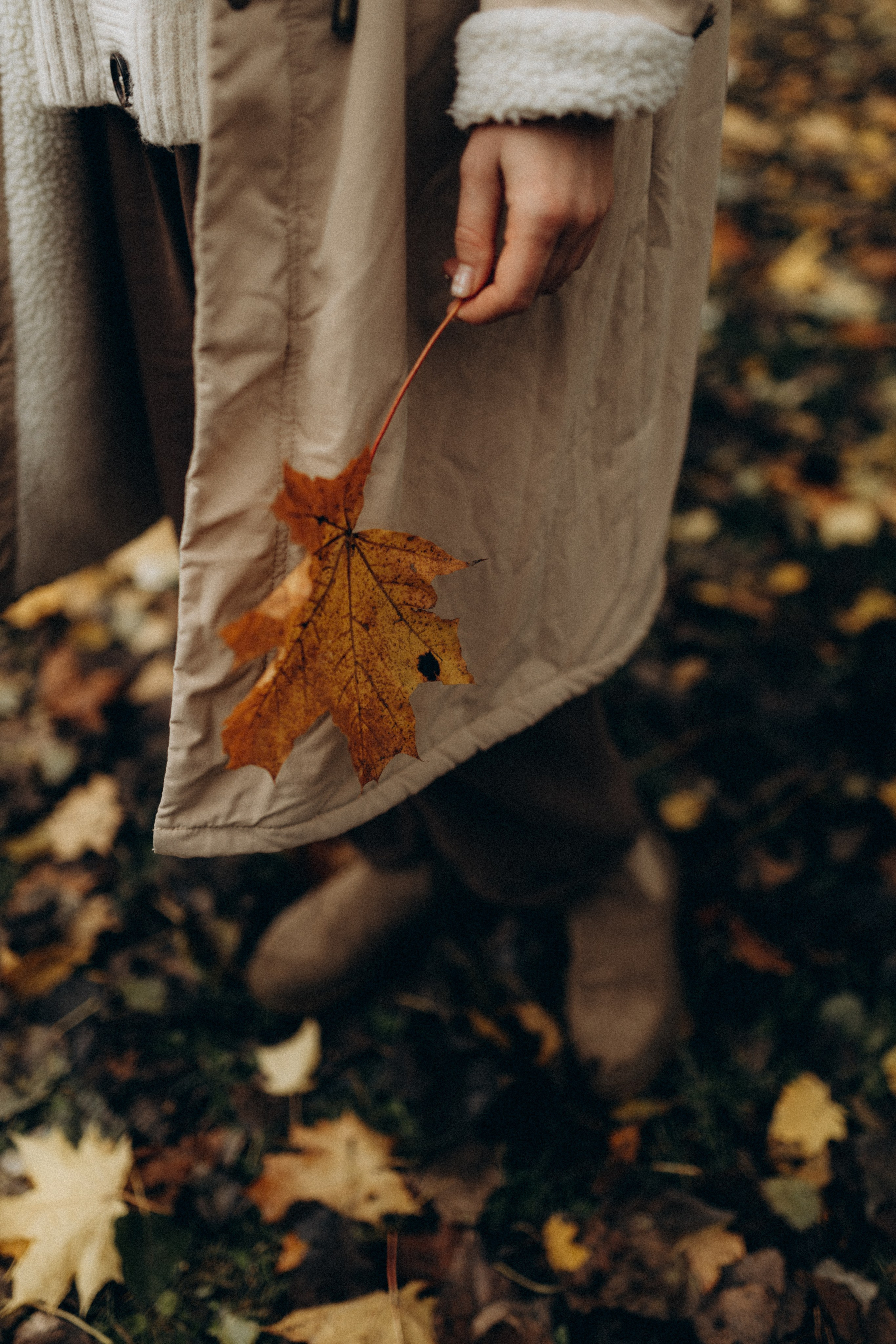 Саша. Фотограф НОГИНСК, Москва, Анастасия Белая