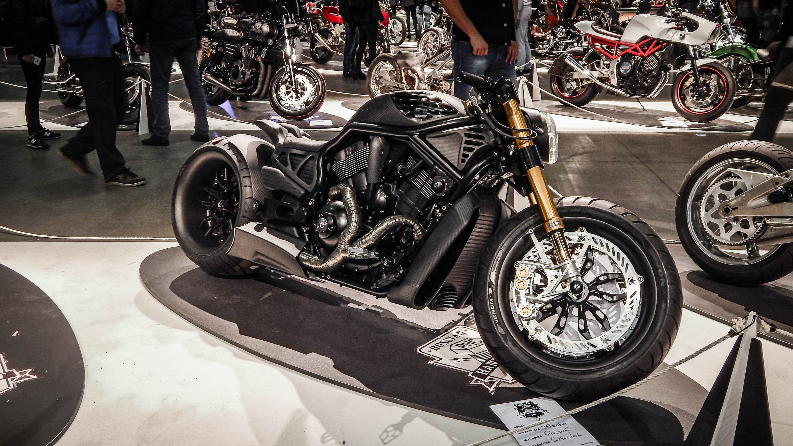 IMIS 2019. Александр Попов