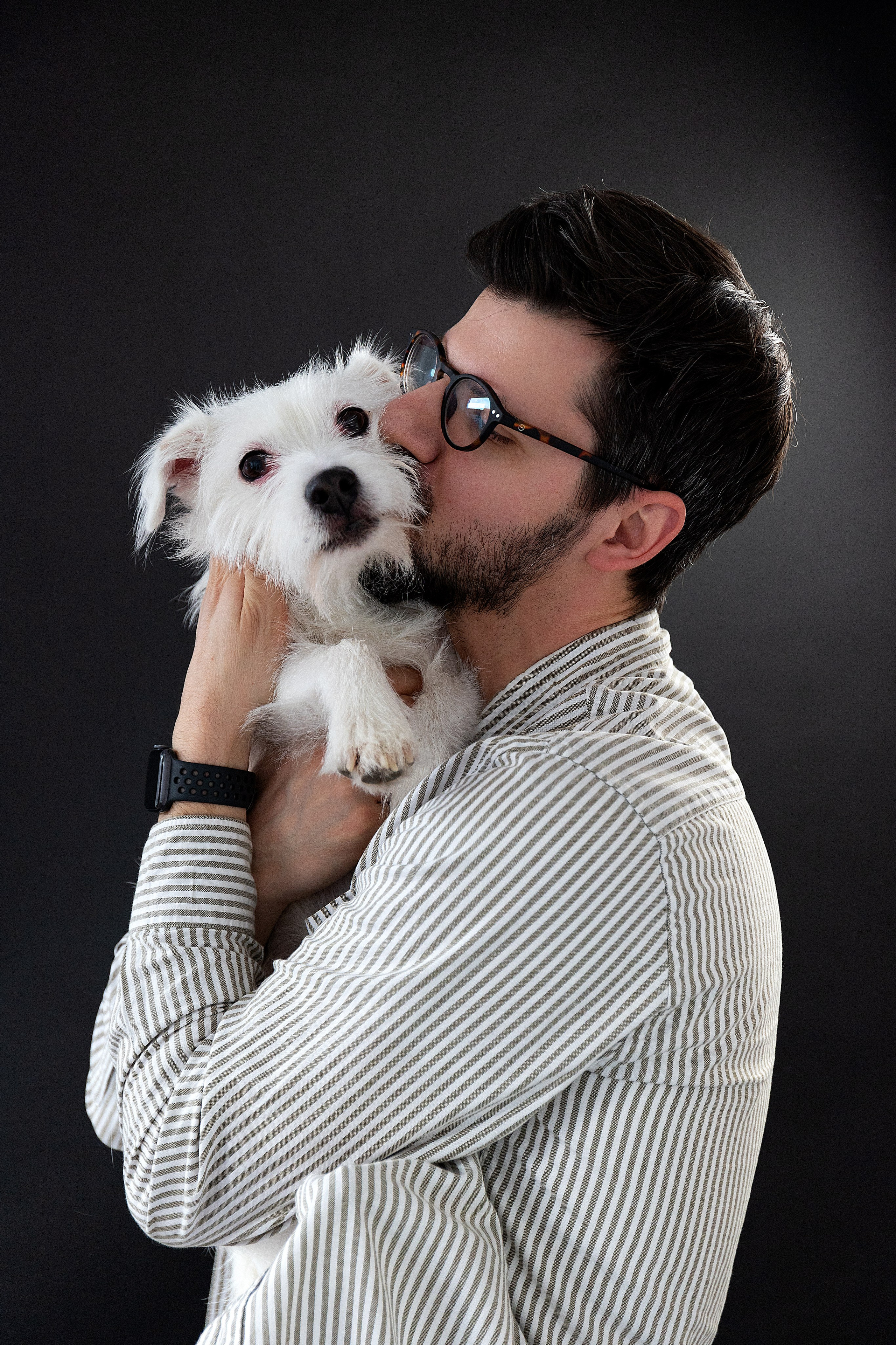 Анималистика