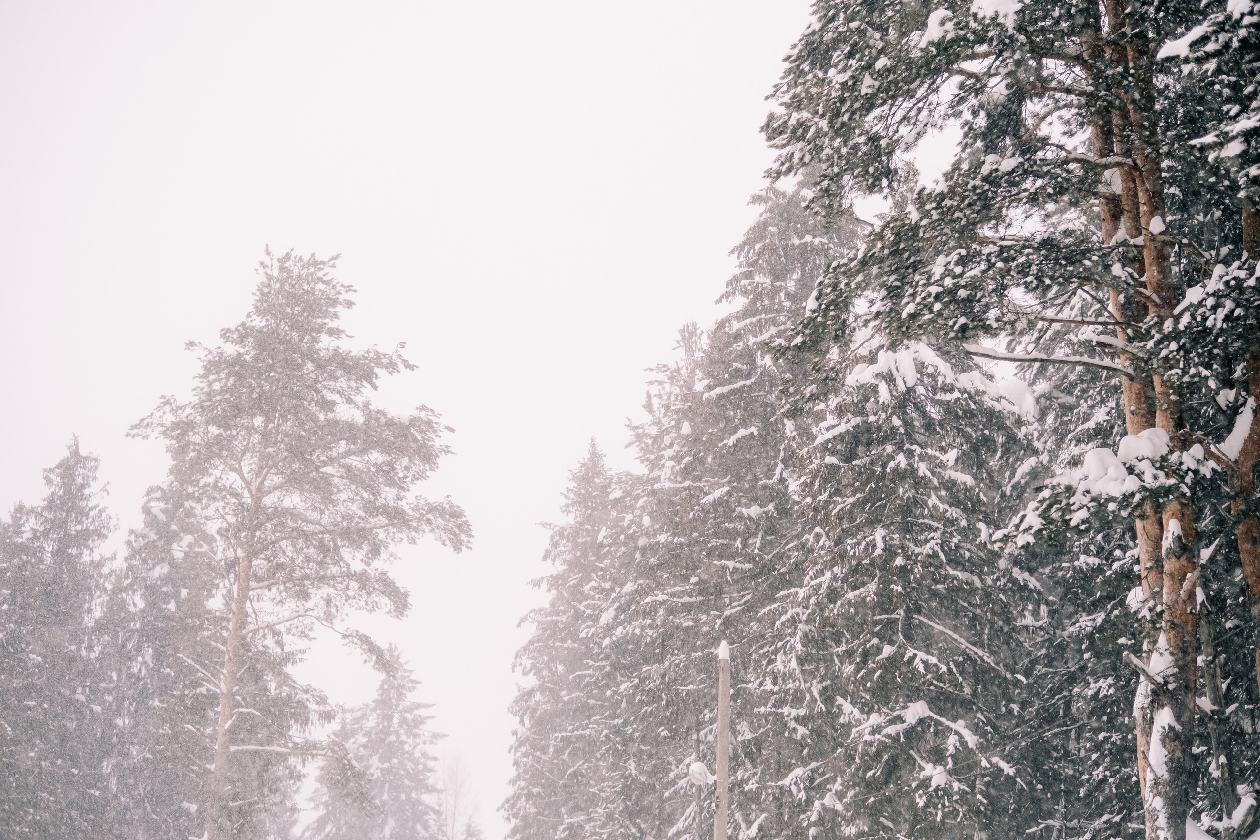 Чемпионат и Первенство России по триатлону 2026. Фотограф Валерия Кононова