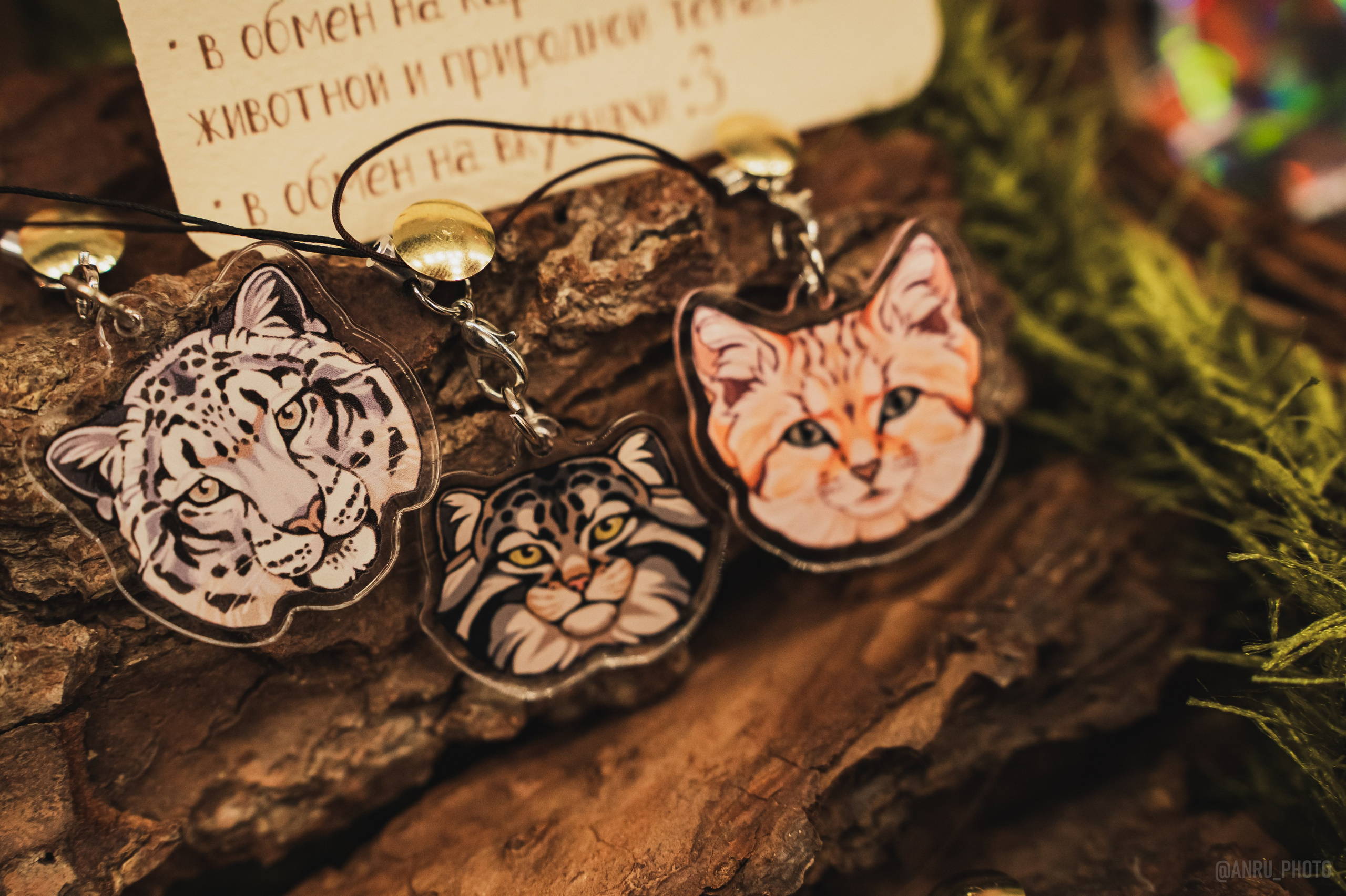 Fox Family fest. Репортажный фотограф Анастасия Рубцова