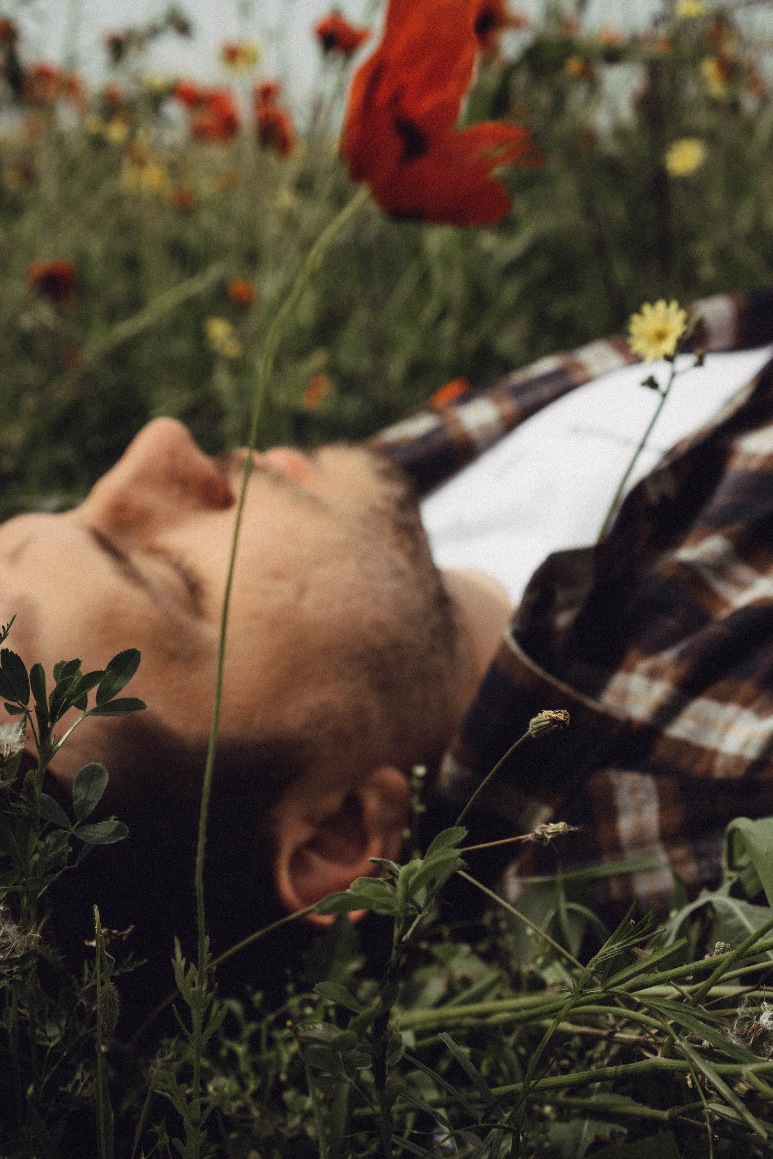 Маки. Профессиональный фотограф, Санкт-Петербург — Виктория Богомолова