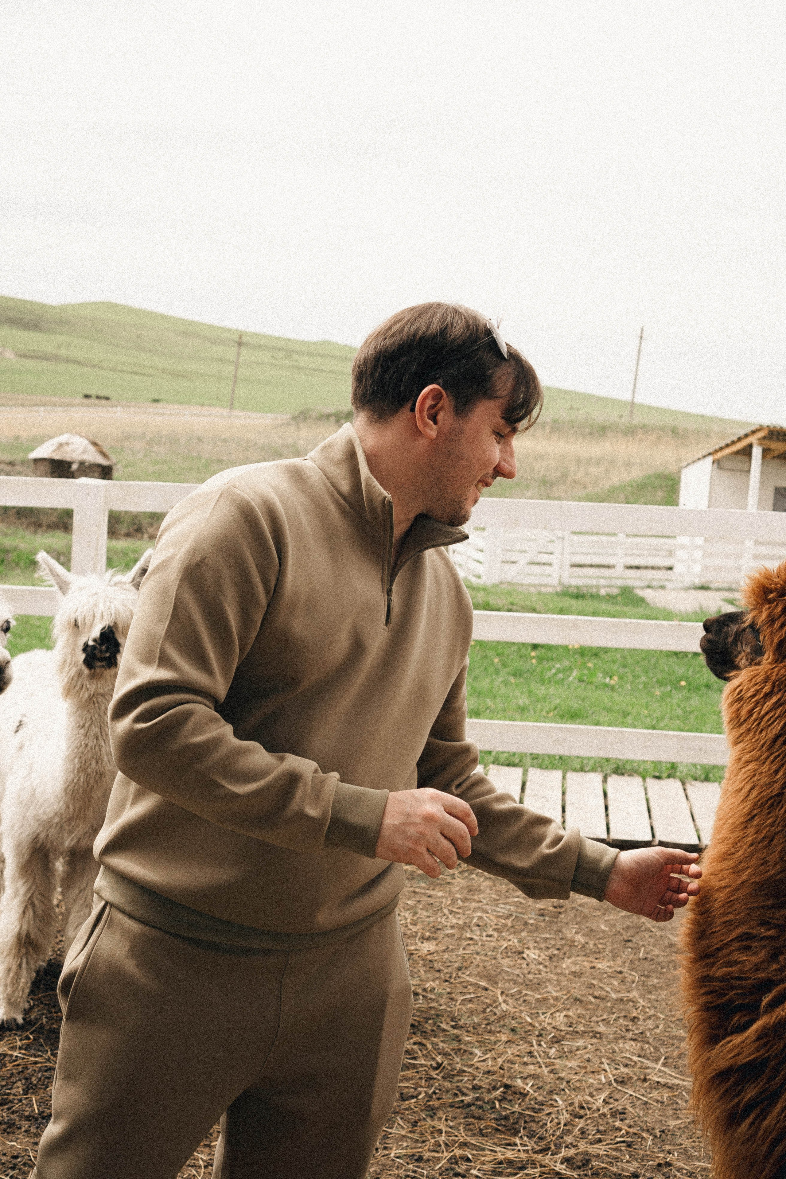 Ферма Альпак. Профессиональный фотограф, Санкт-Петербург — Виктория Богомолова