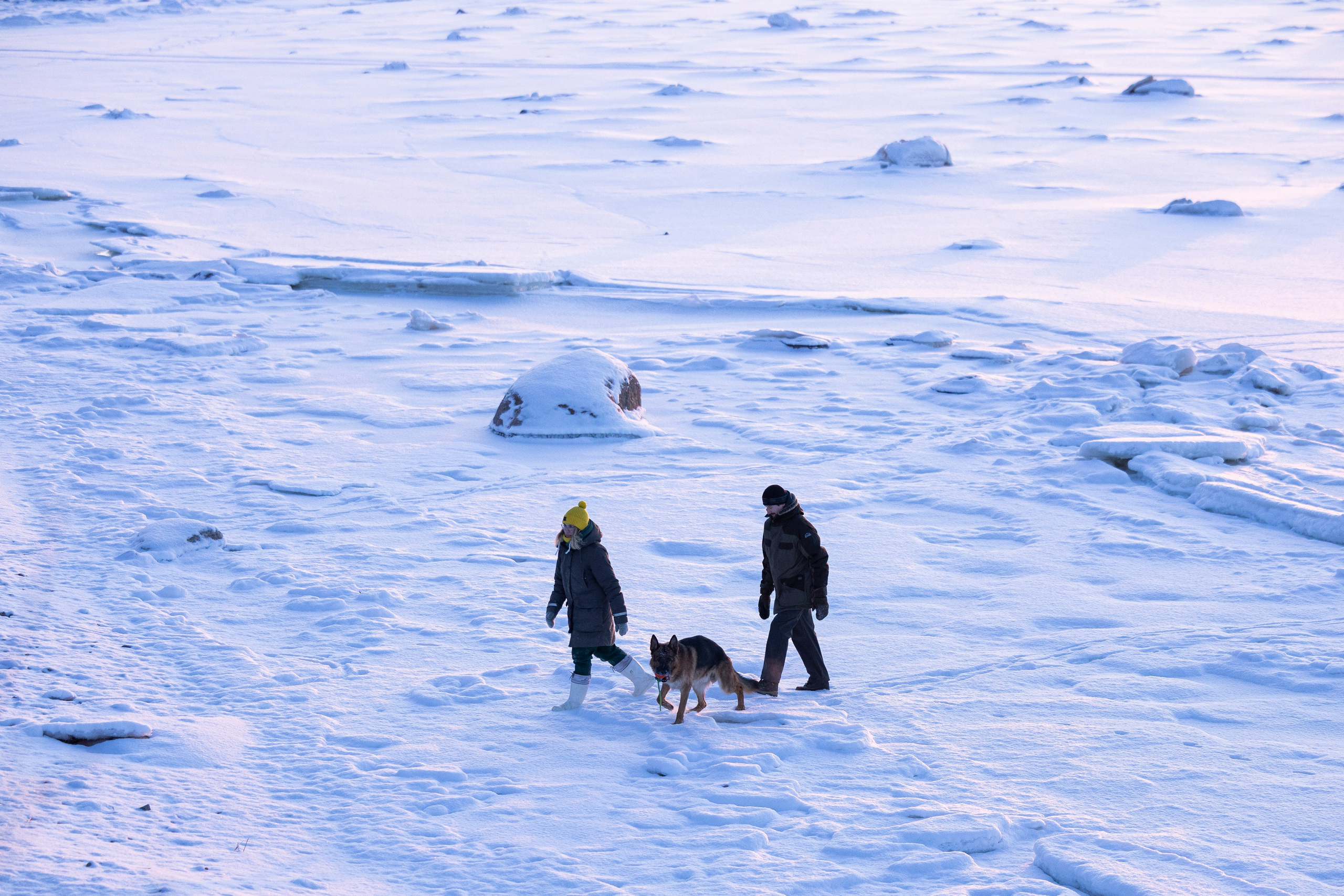 Рейн. Фотограф-анималист Анна Маринич