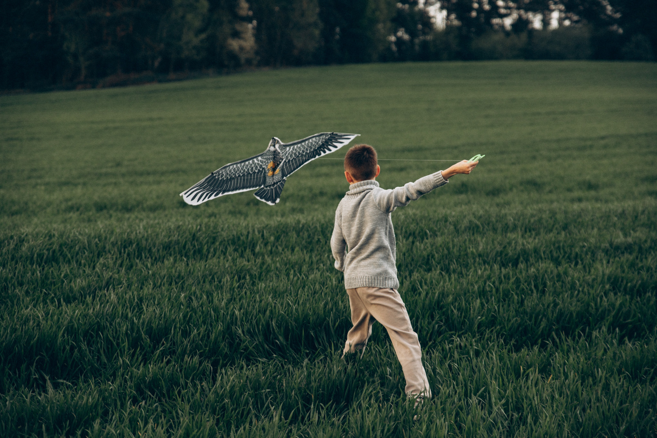 Ветер в наших волосах. Репортажный и детский фотограф в Минске