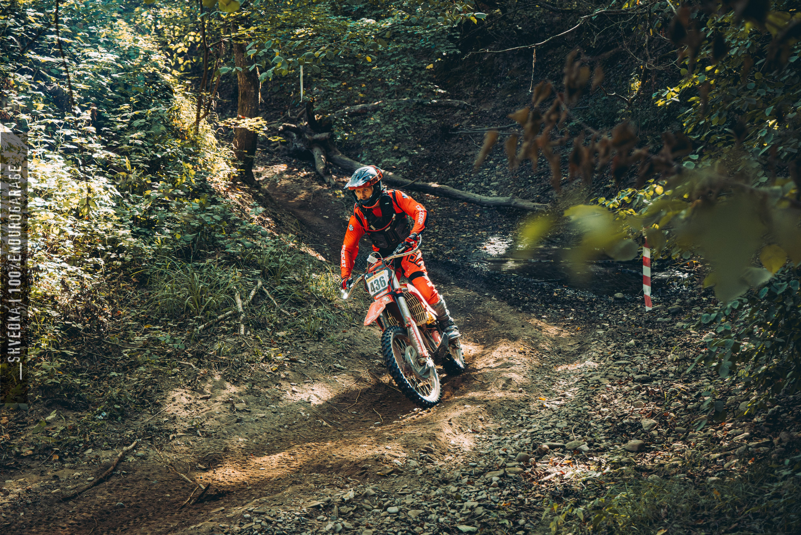 2 лесной день. Ваш экстрим фотограф Кудрева Яна