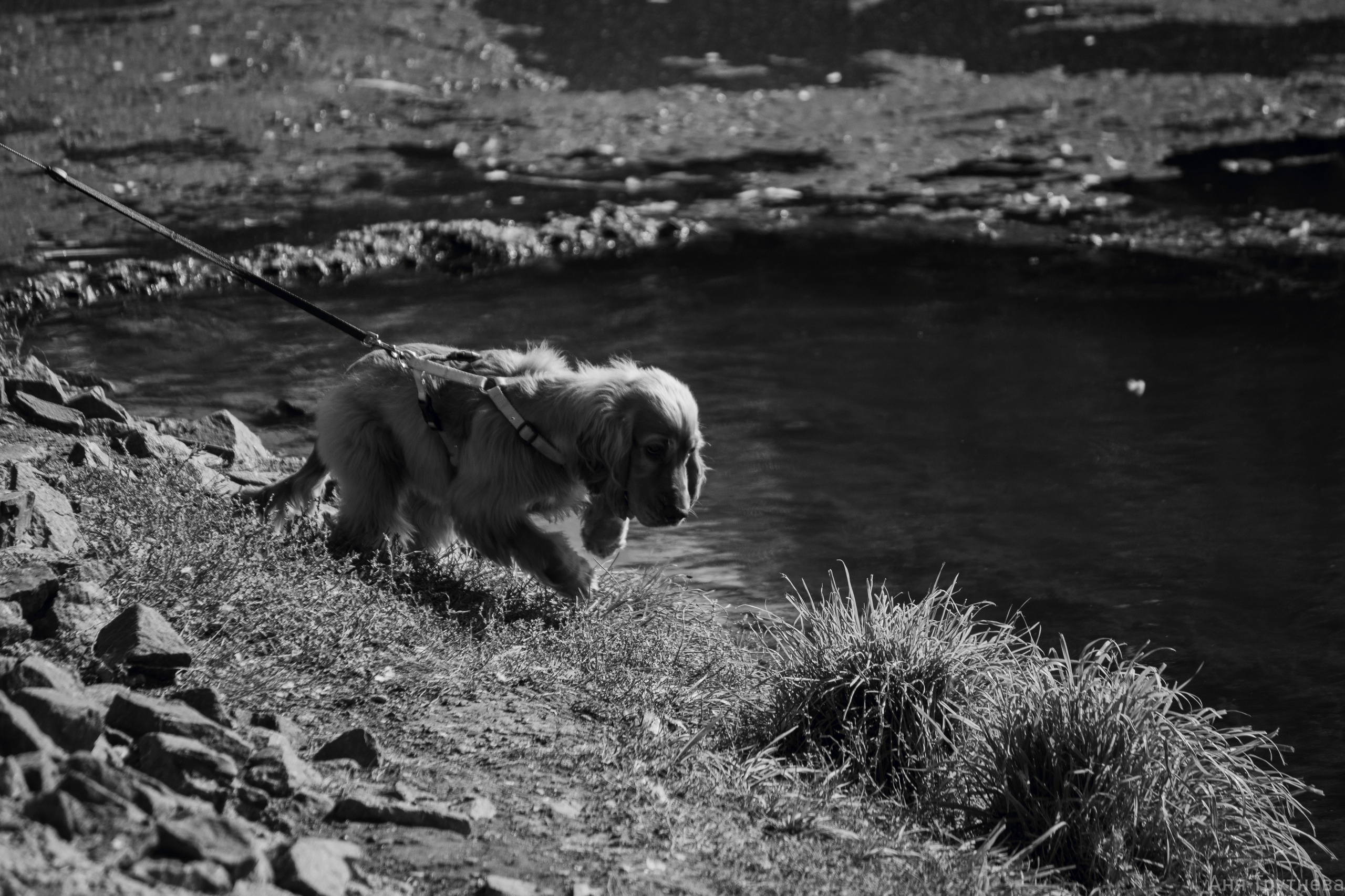 На фестивале КультТорг. Фотограф и видеограф в Бугульме Аня Трутнева