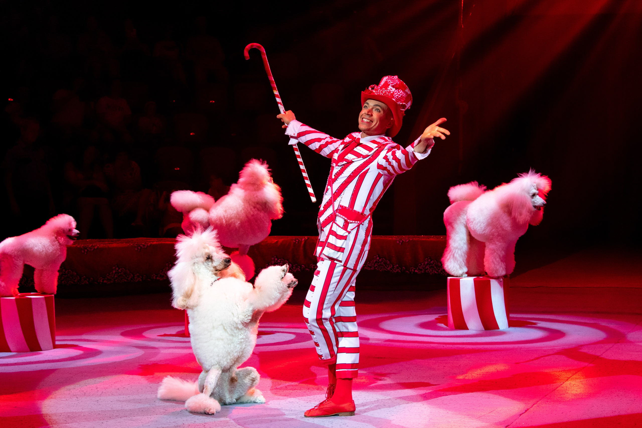 Репортажный фотограф Казань