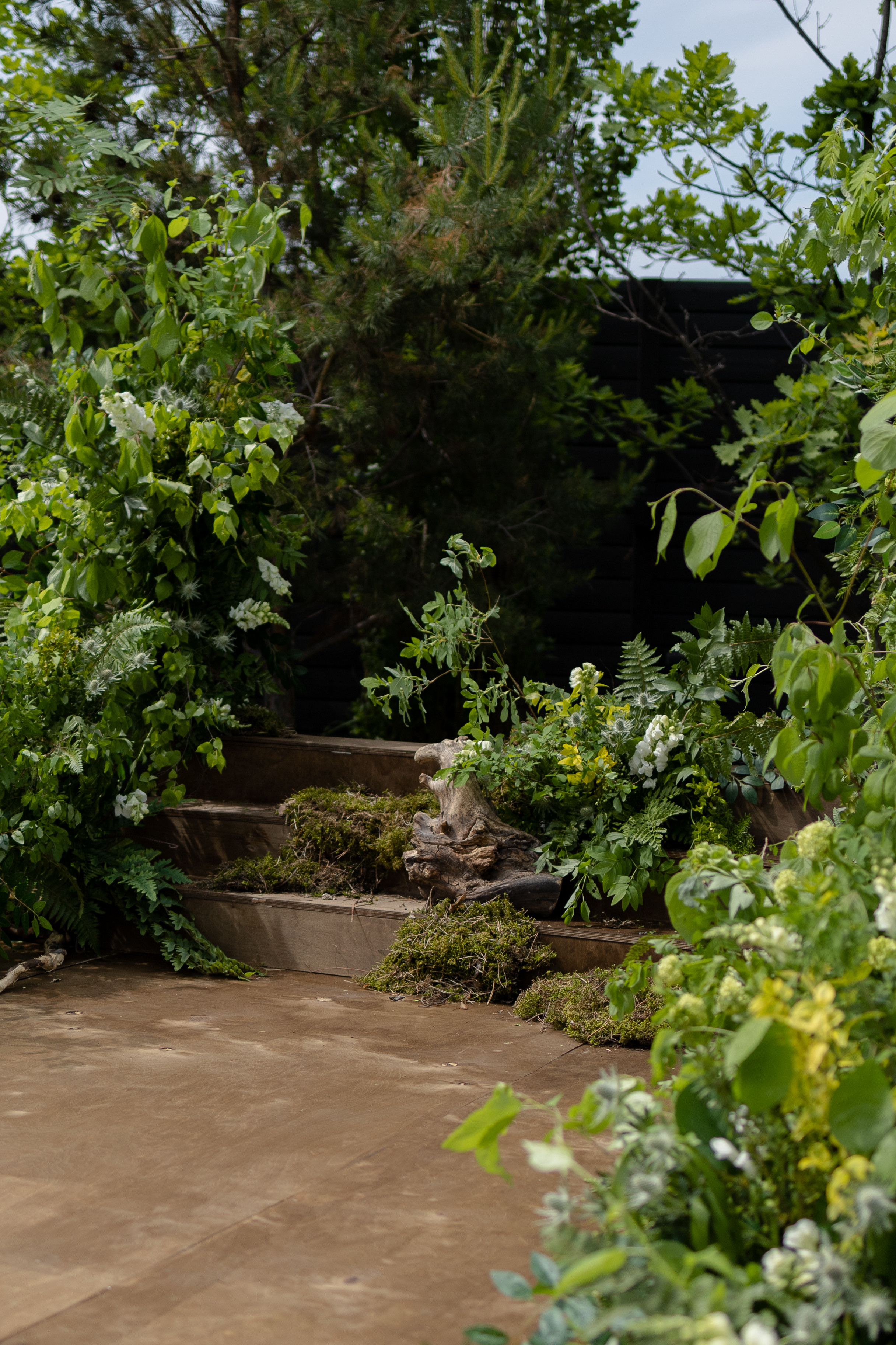 Коммерческие съемки. Фотограф в красноярске