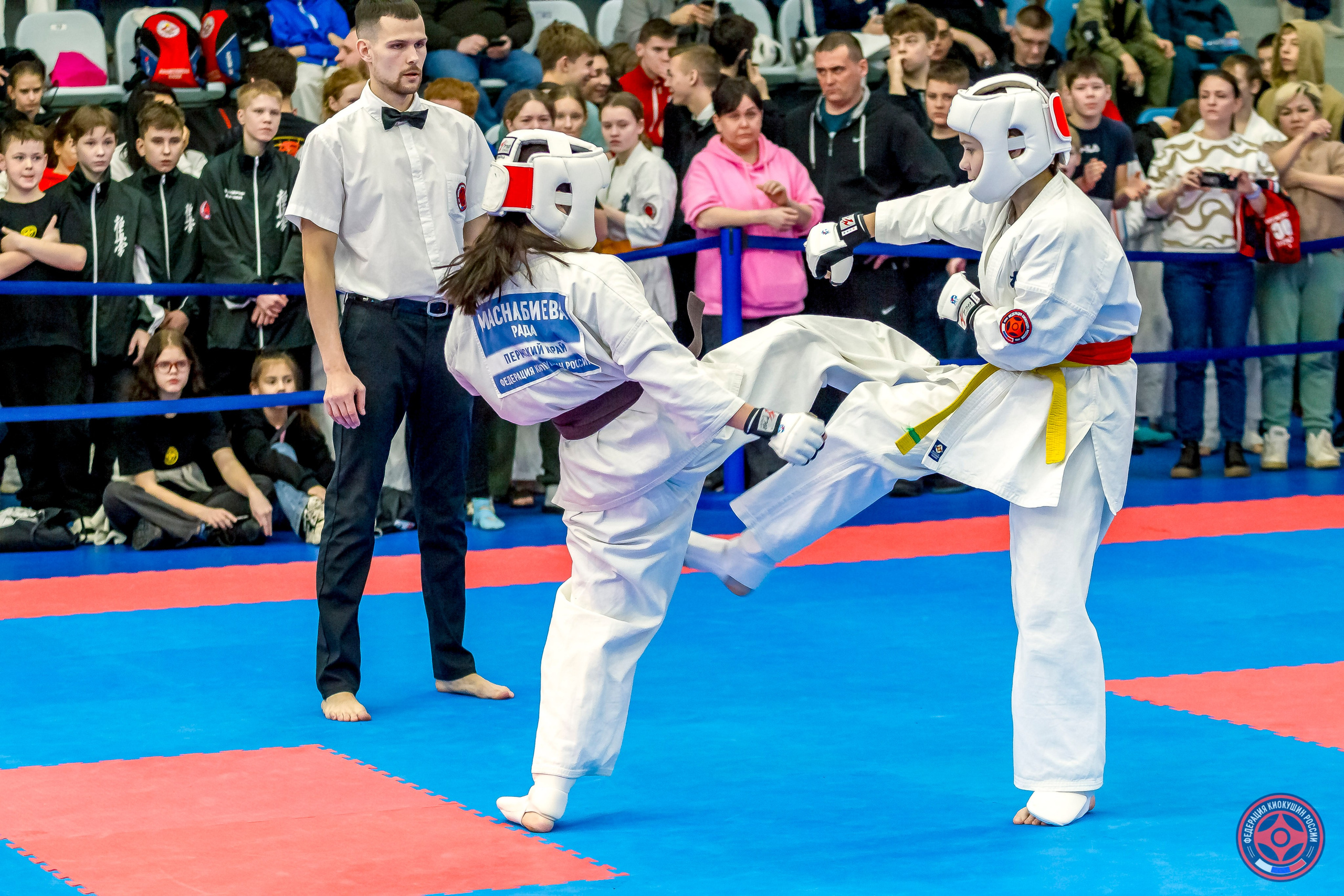 Международный турнир по киокушин «Открытый кубок Seiken». Репортажная съемка в Москве и области. Анималистика