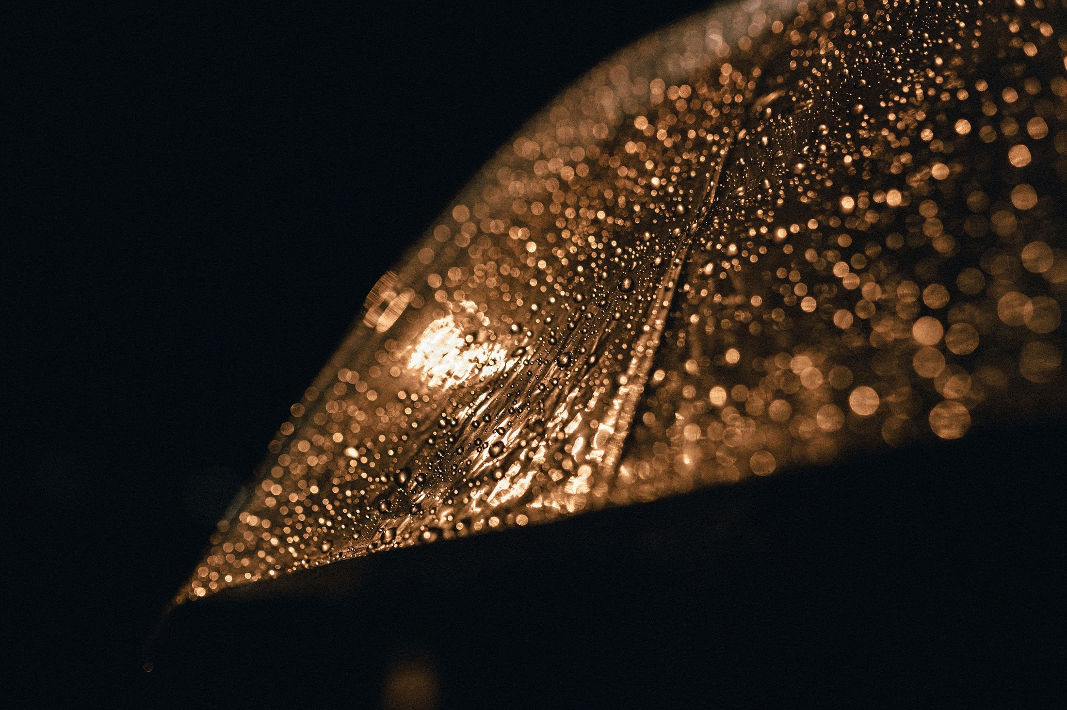 Юлия+Антон. Свадебный фотограф в Тамбове Валерий Тихов