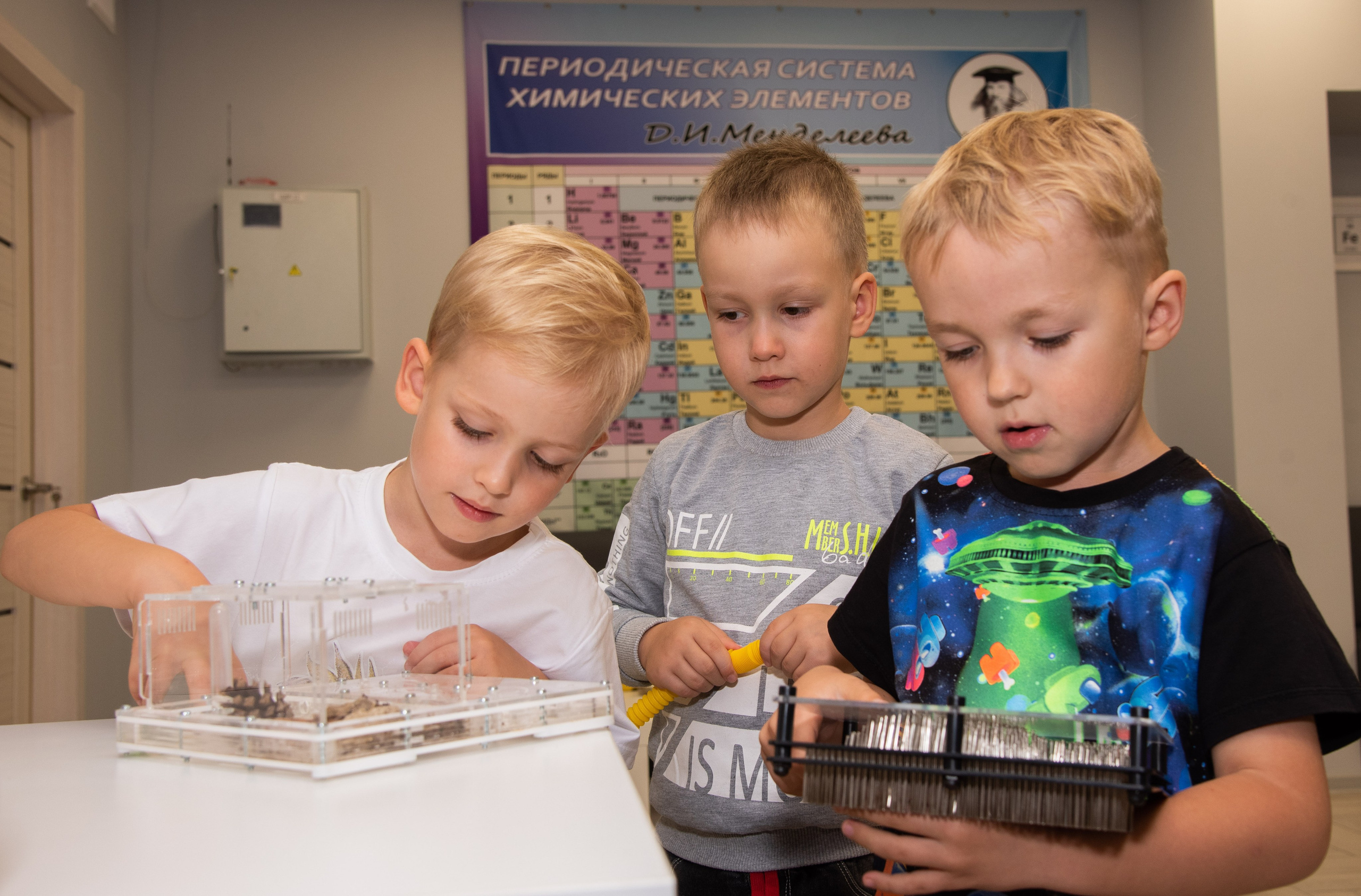 Паше 5 лет. Свадебный и семейный фотограф Ольга Астрейко