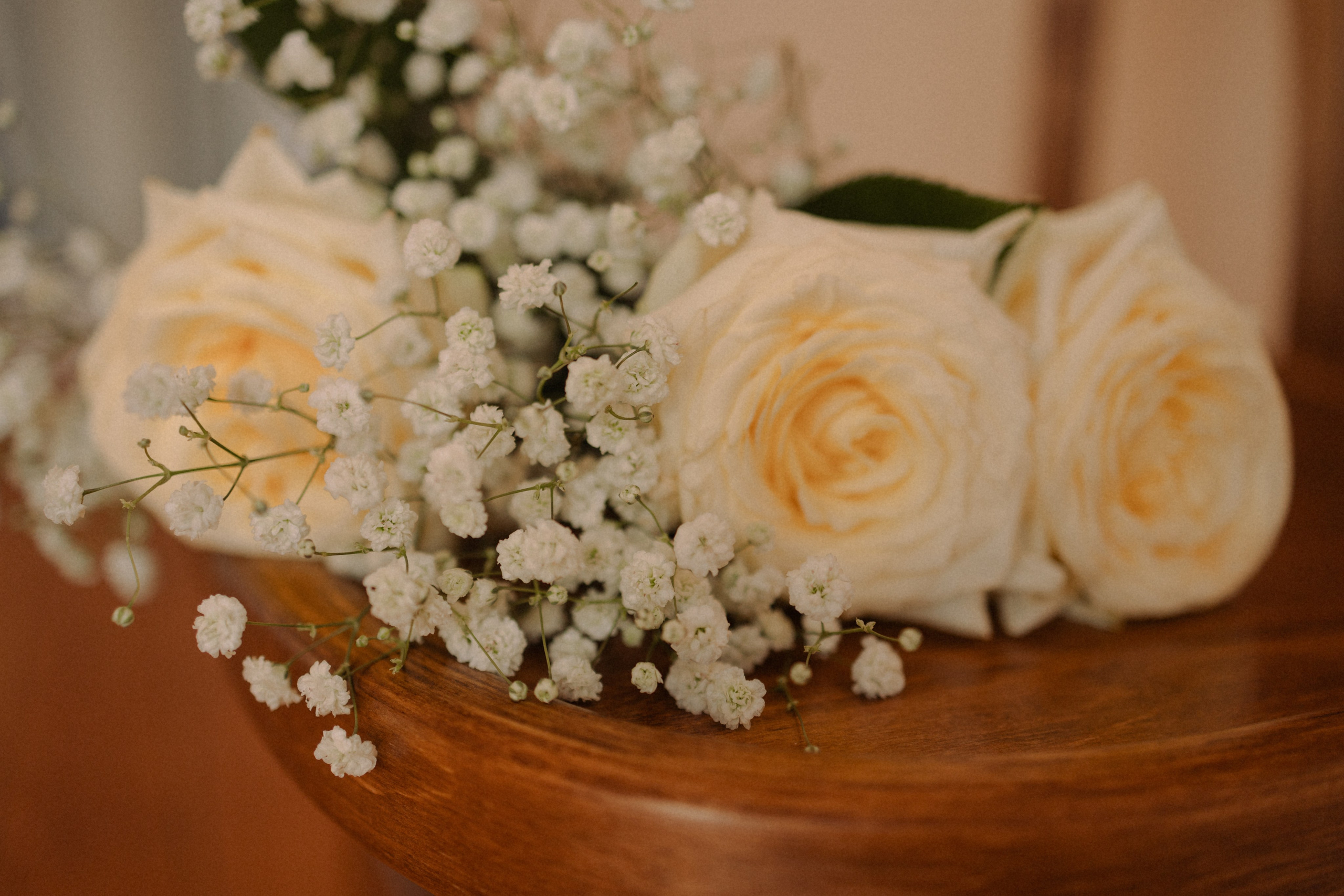 Ксюша и Луна. Фотограф — Анималист | Санкт-Петербург