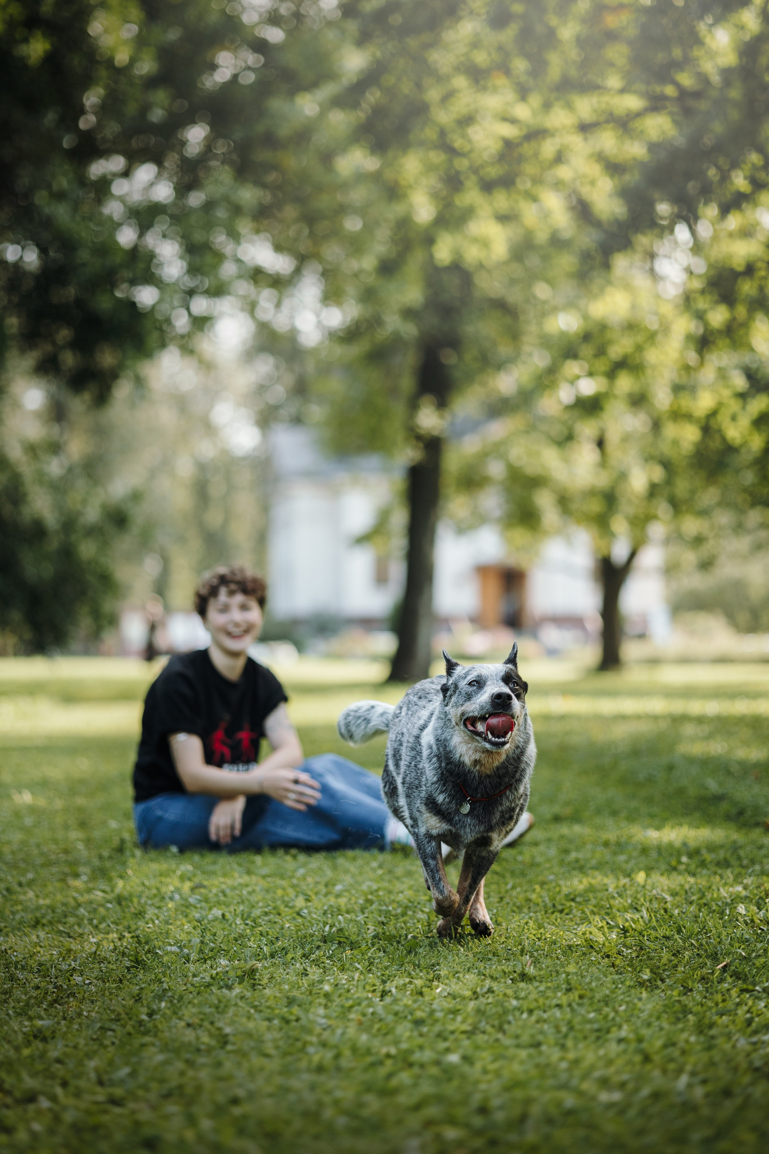 Кода и ее семья. Фотограф — Анималист | Санкт-Петербург
