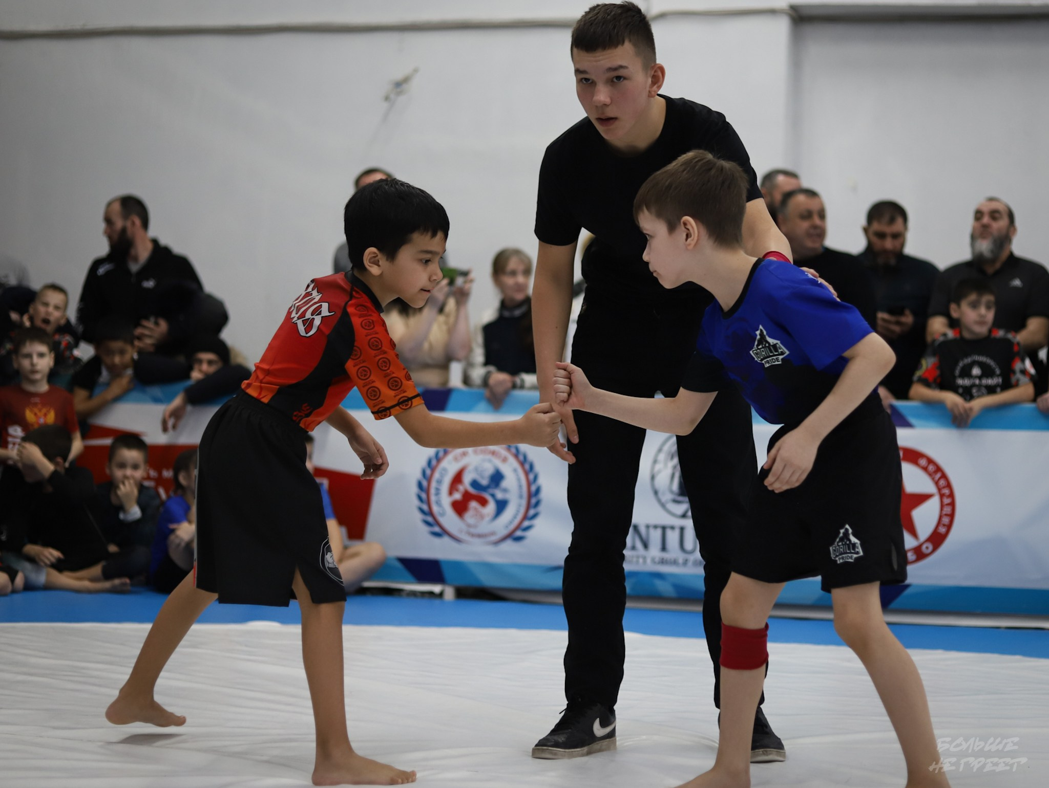 GORILLA PRIDE CUP. Больше не греет