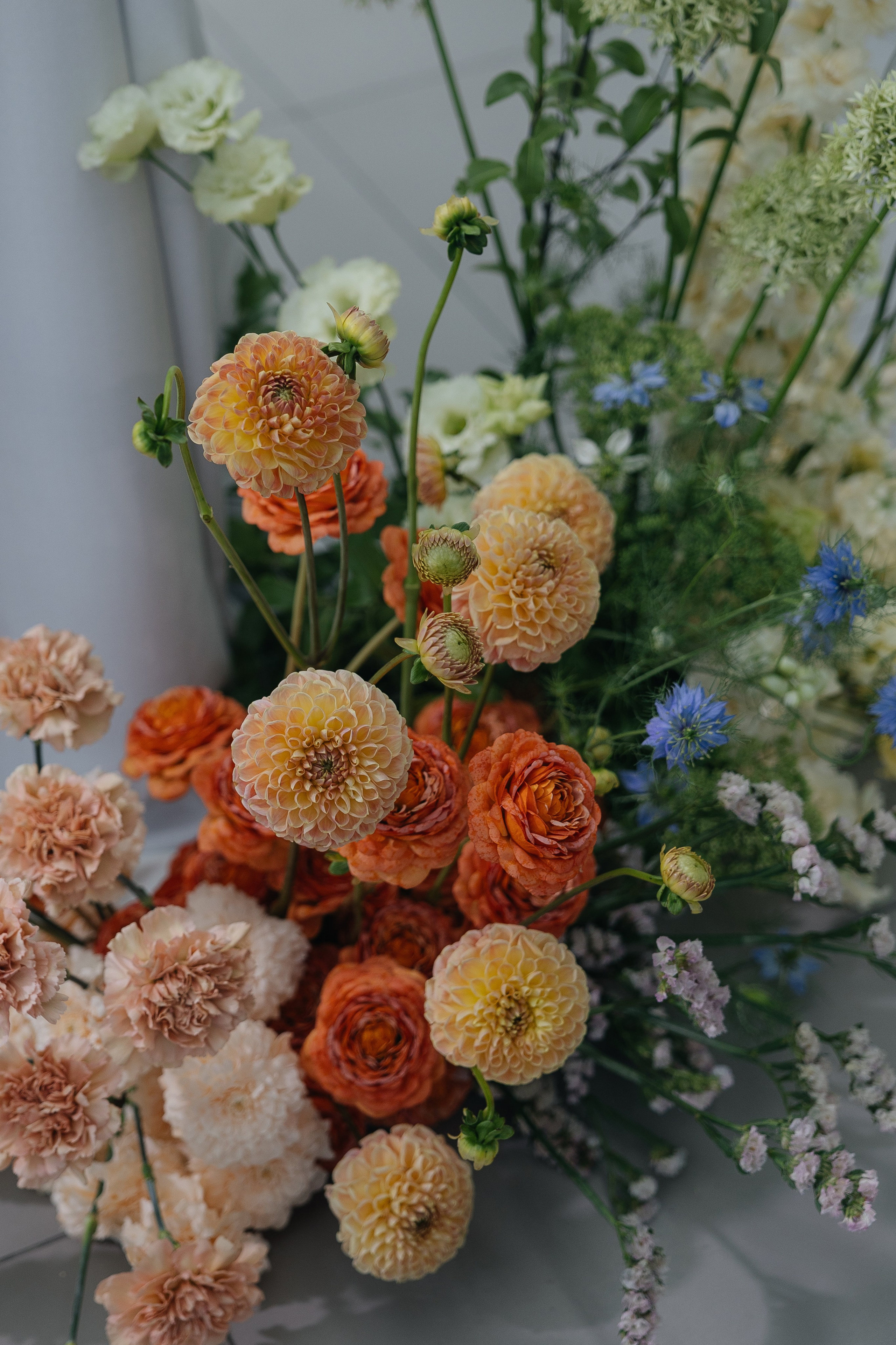 Easy. Главная