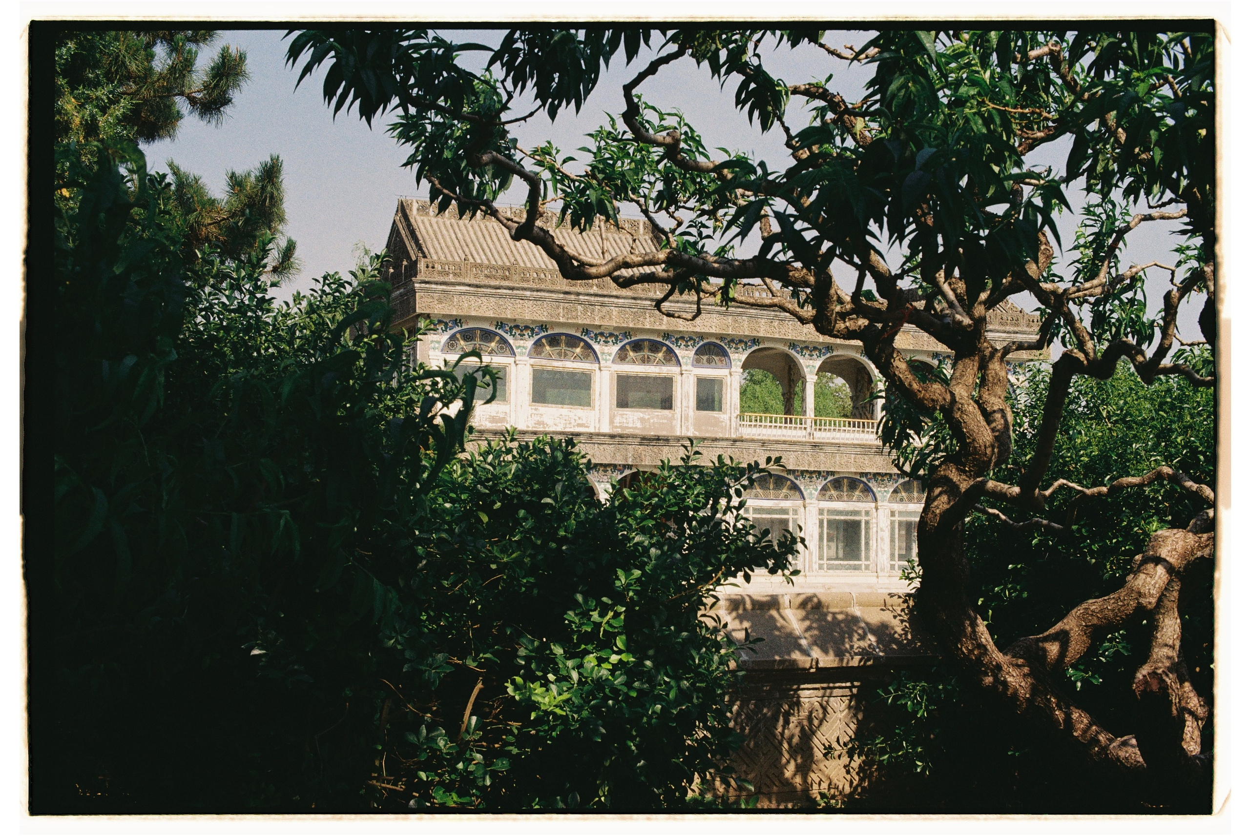 Asia. Olya Filina | Moscow Photographer