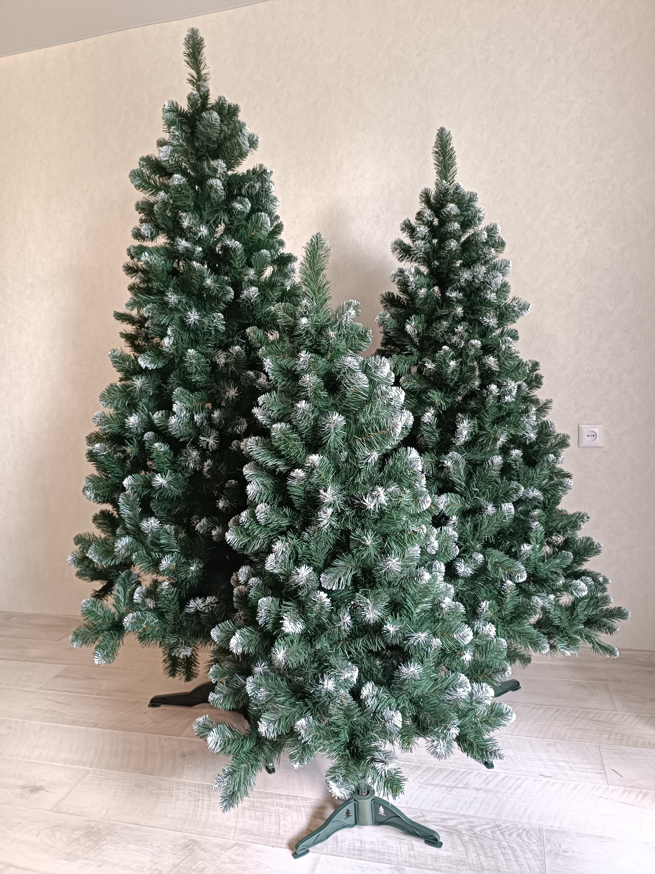 АЙРИС. Elki_grodno