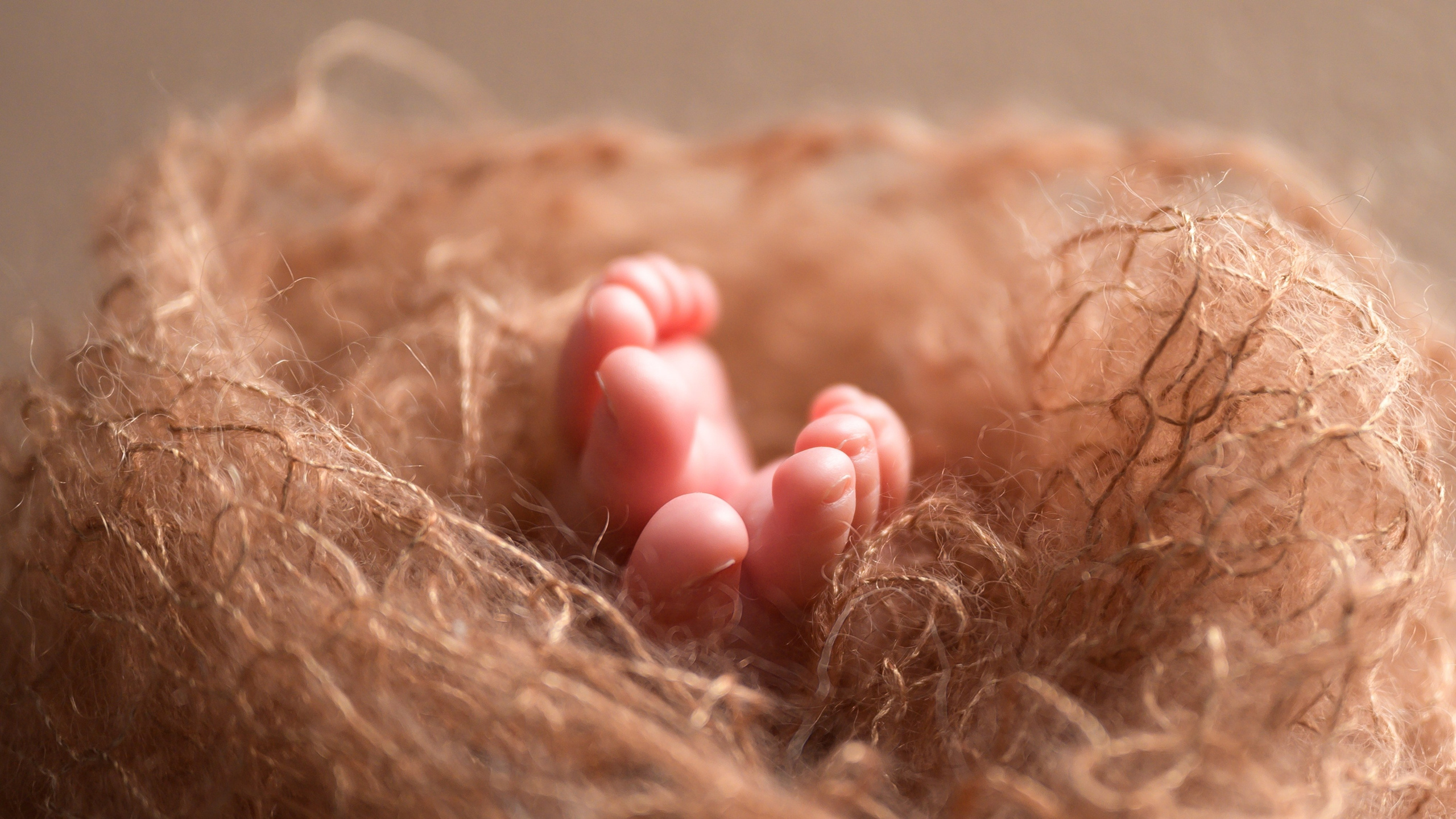 Семейный и детский фотограф в Москве Дмитрий Палеев