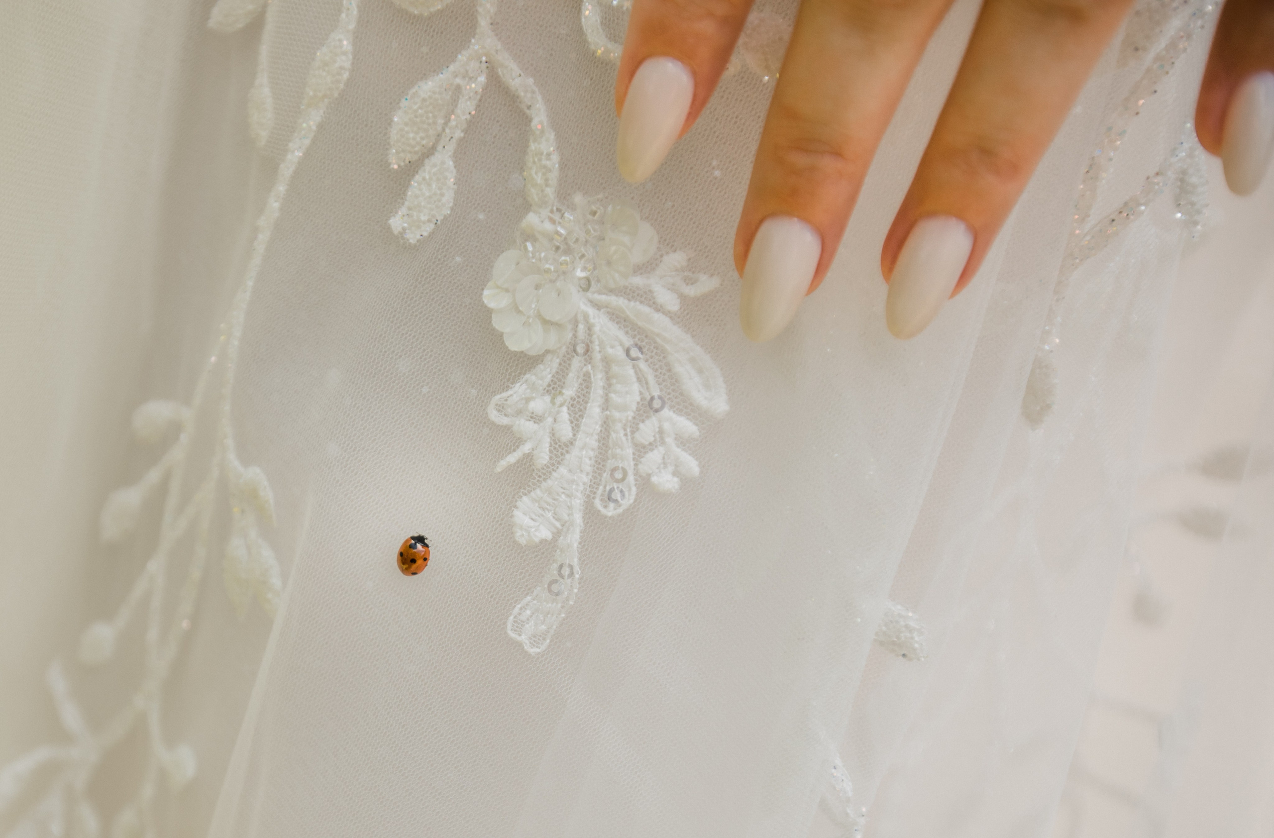 Лев и Диана. Свадебный и семейный фотограф в Краснодаре