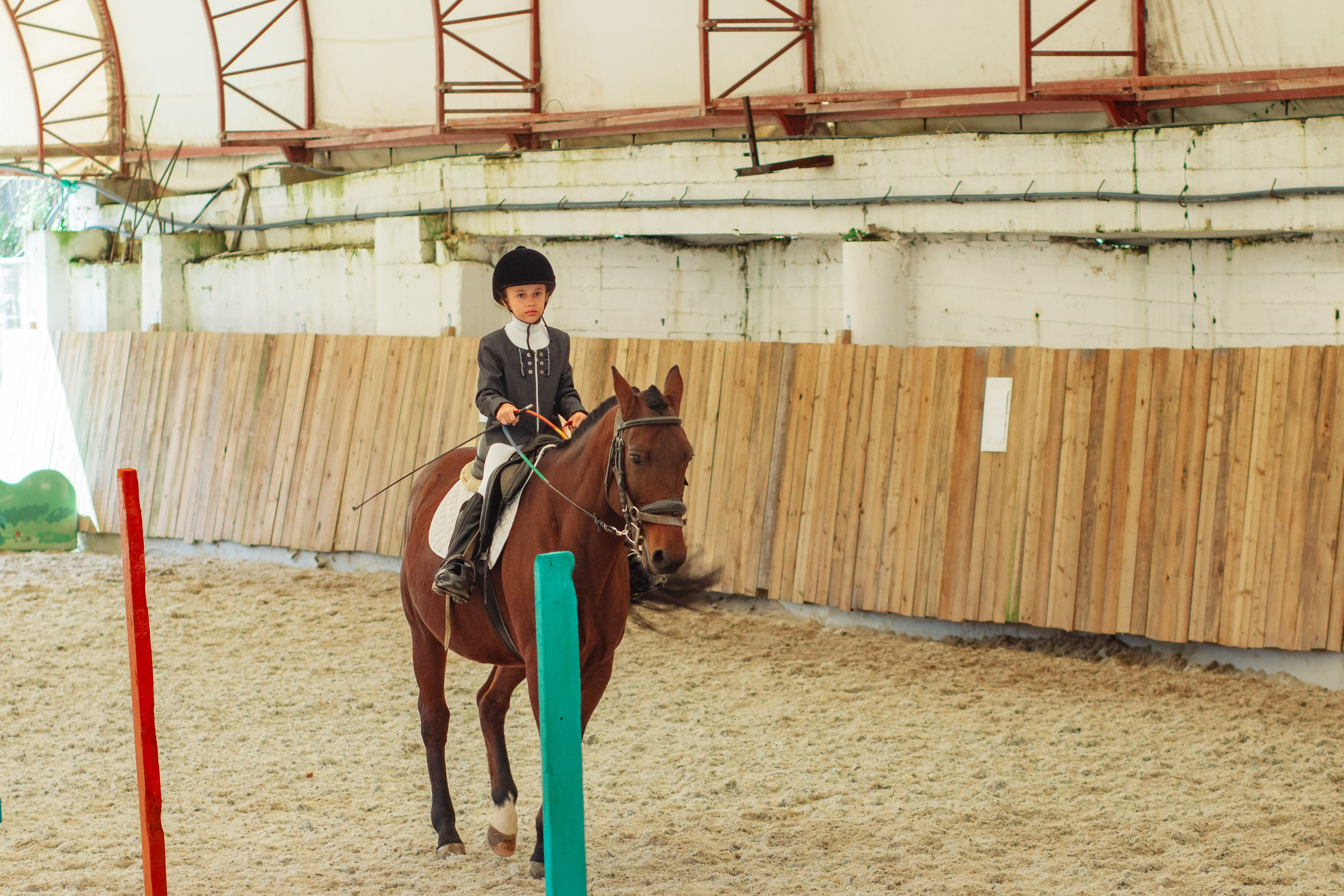 Маргуша сочи конный спорт