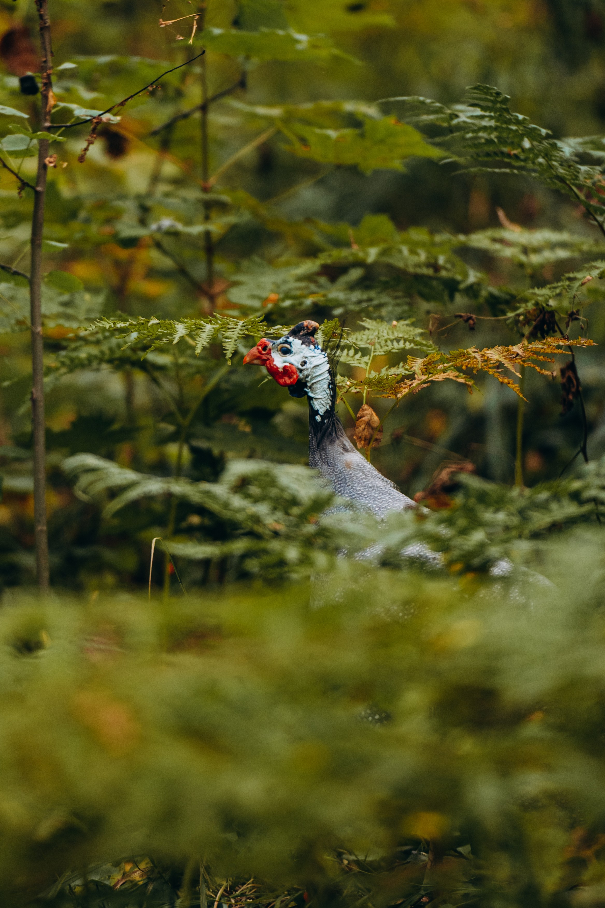 СЕВЕР. Event фотограф Степанова Александра