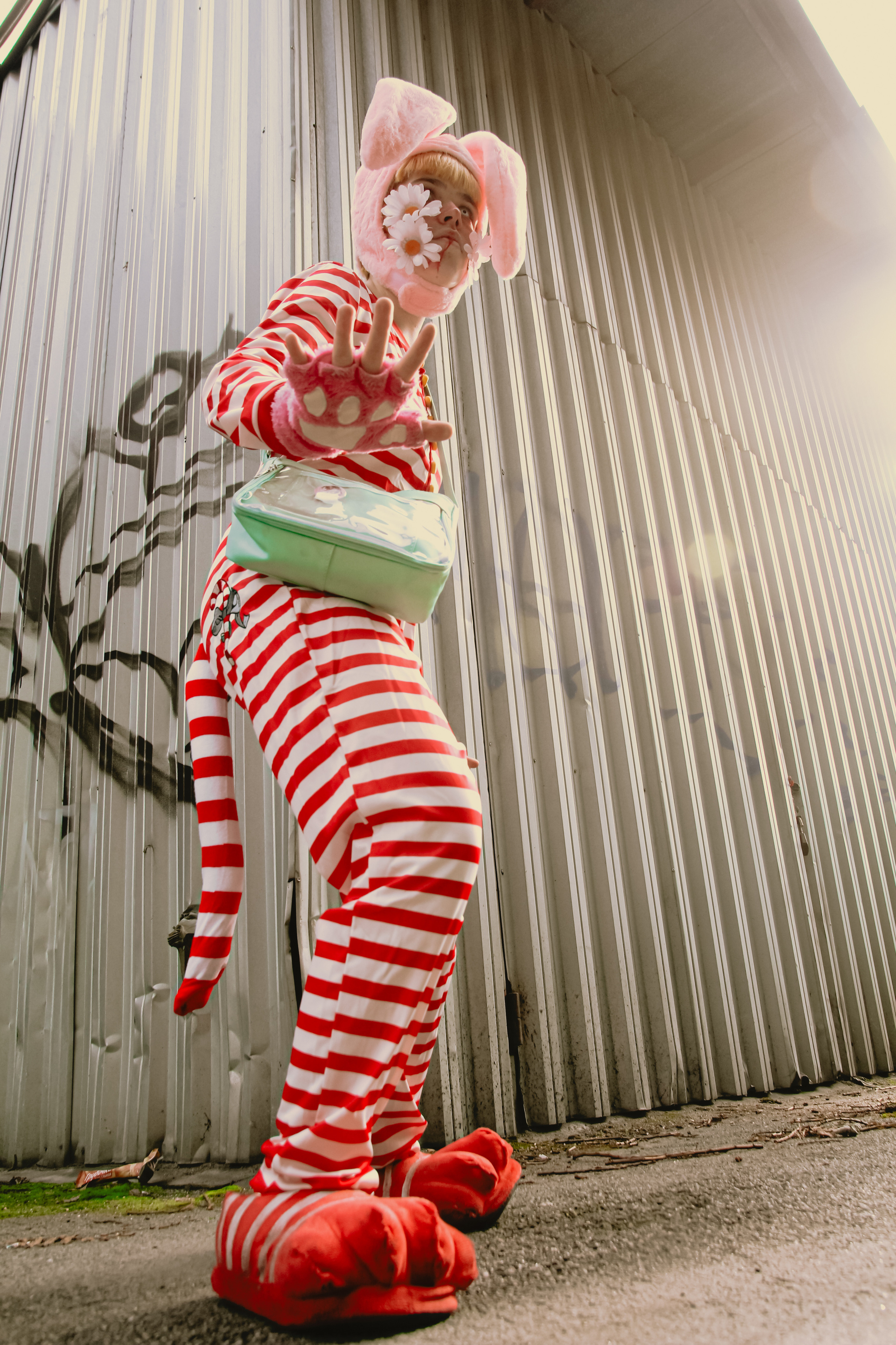 Поппи 🐰. Главная