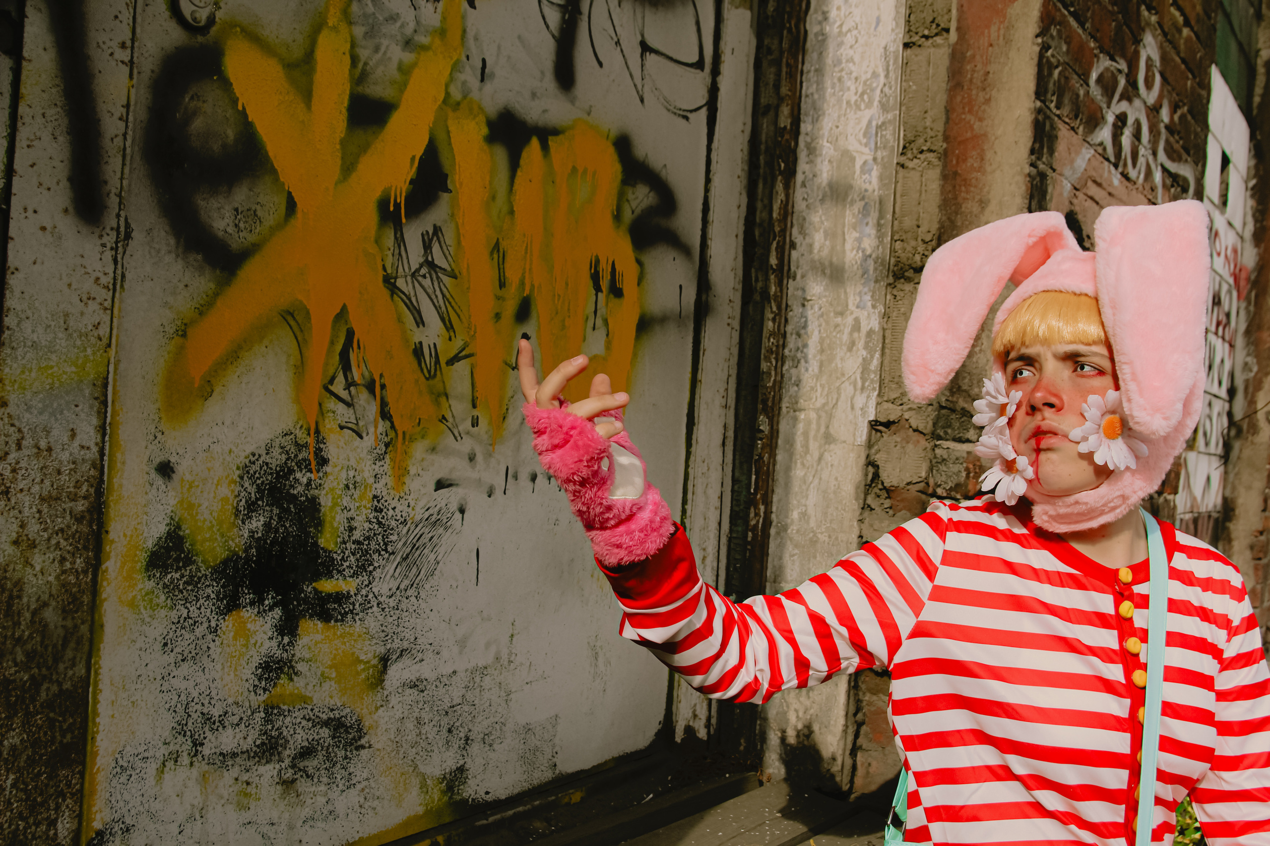 Поппи 🐰. Главная