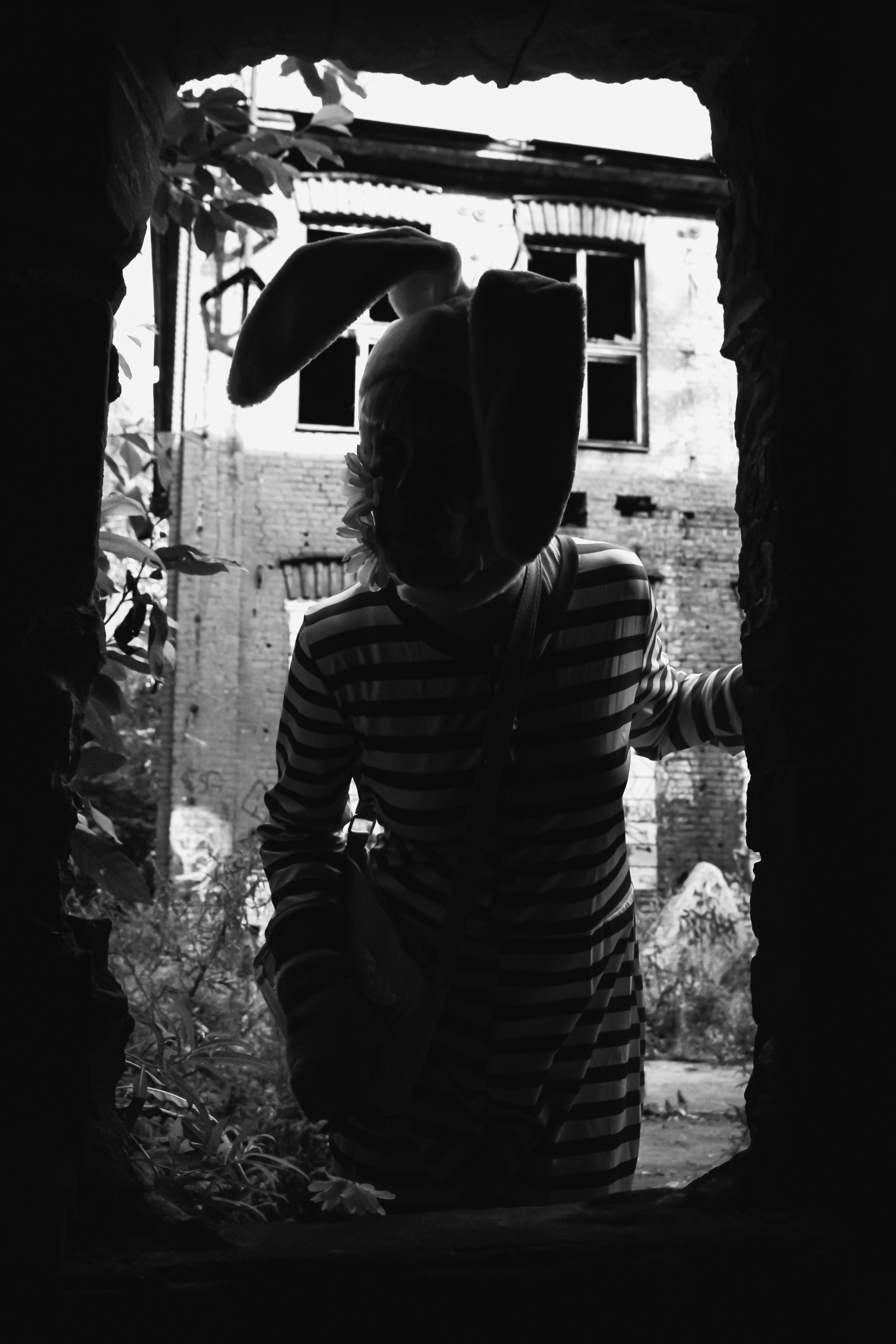 Поппи 🐰. Главная