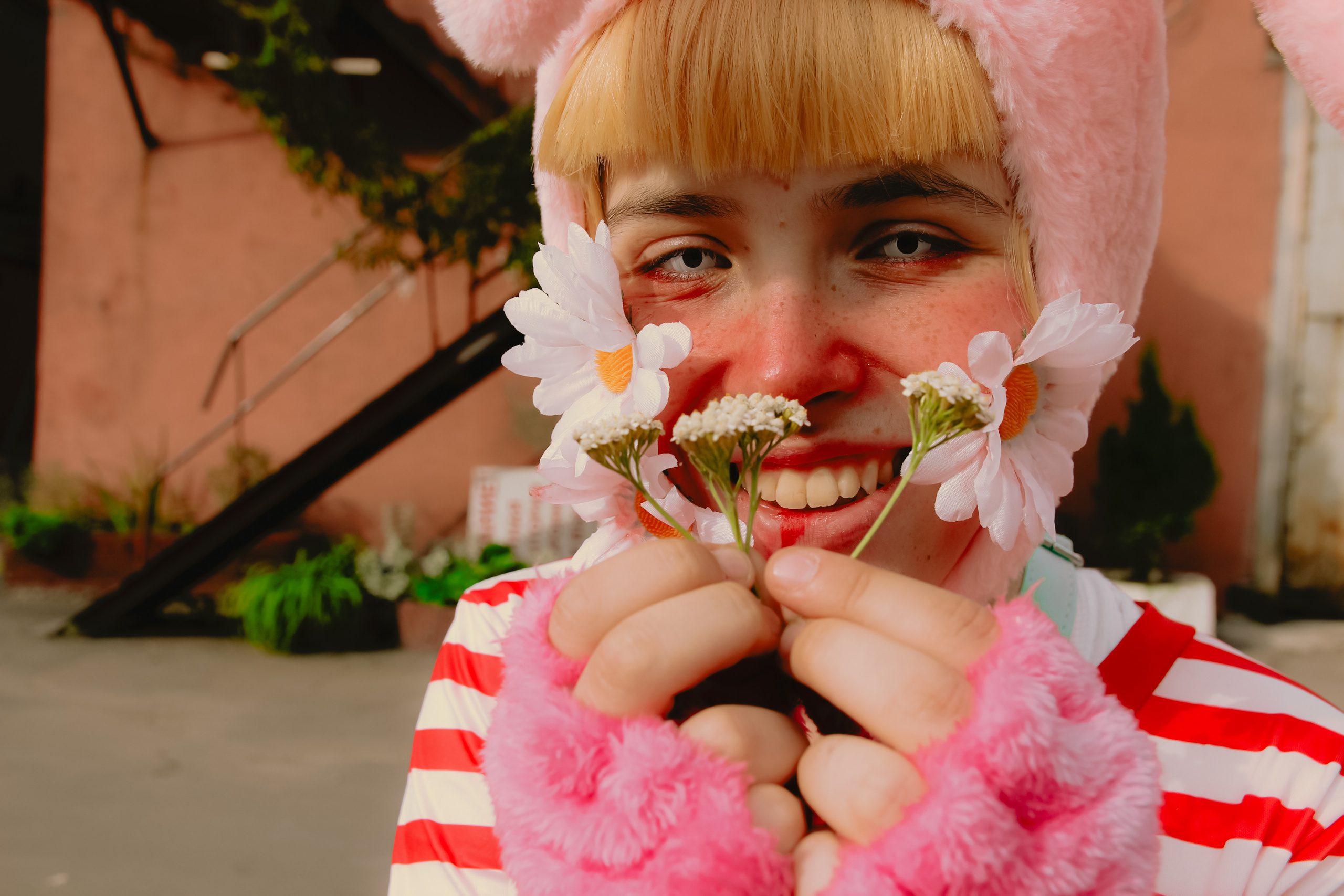 Поппи 🐰. Главная