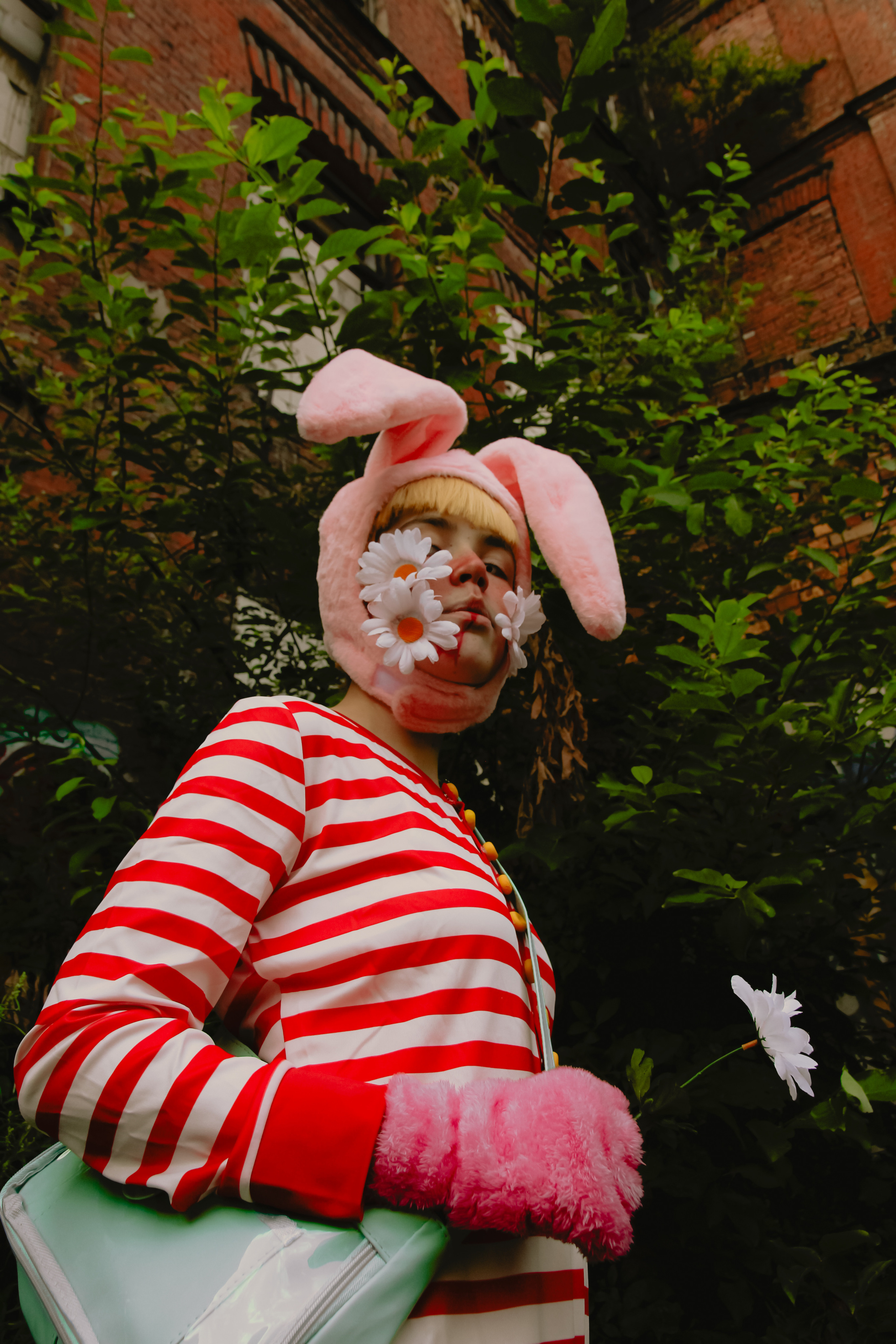 Поппи 🐰. Главная