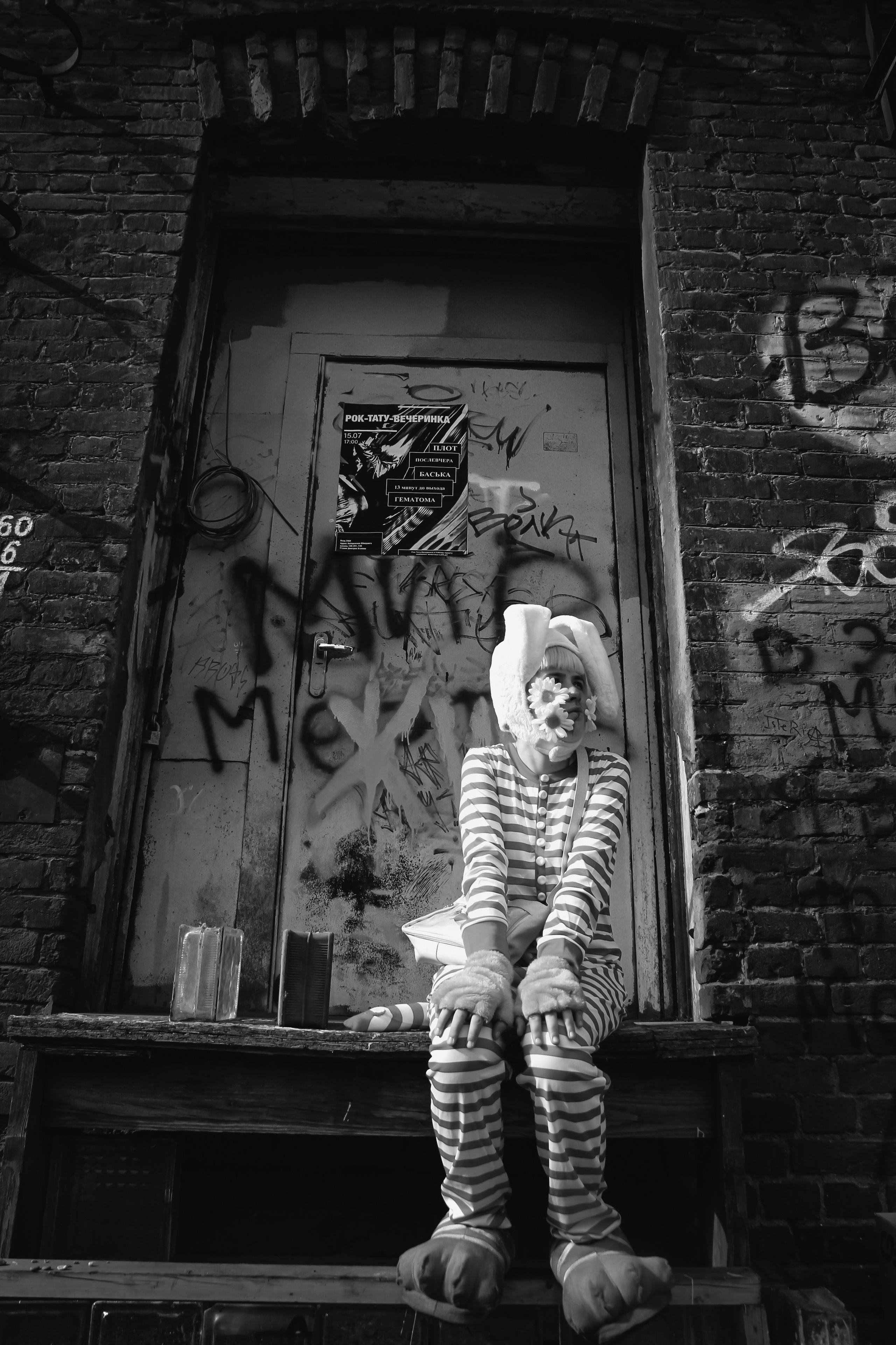 Поппи 🐰. Главная