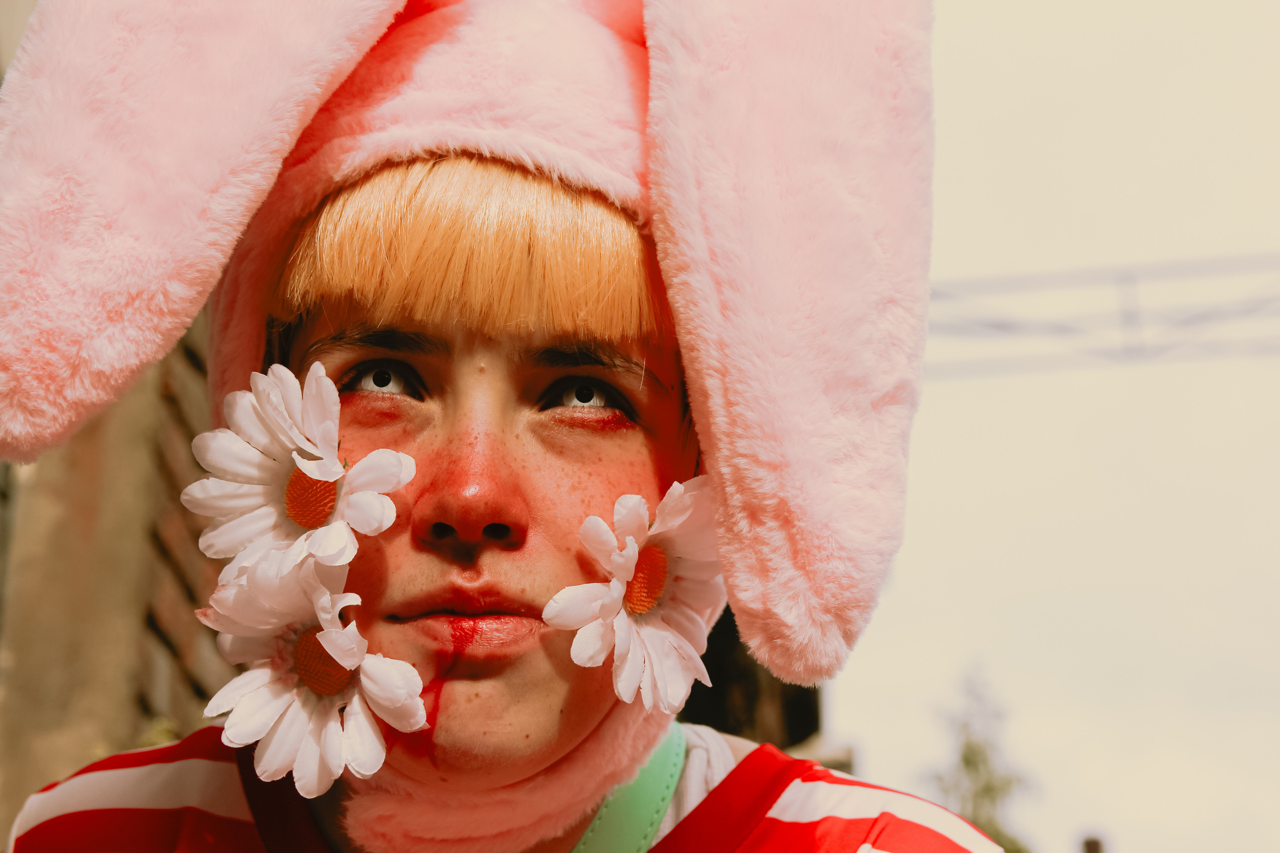 Поппи 🐰. Главная